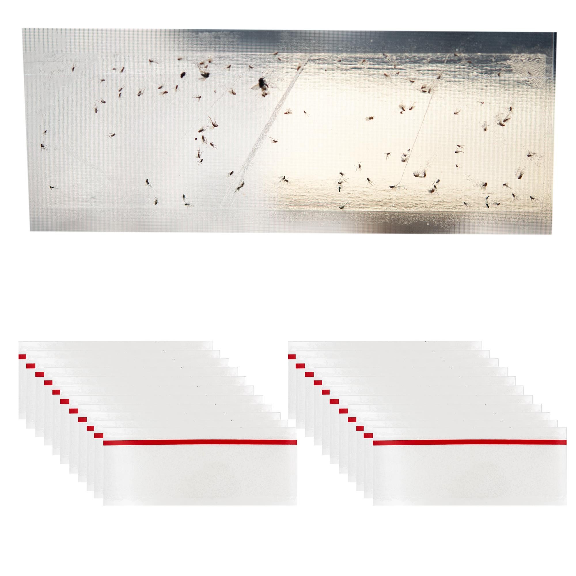 TSB Werk Insektenschutz-Vorhang Fliegenfalle Fenster Leimfalle günstig online kaufen