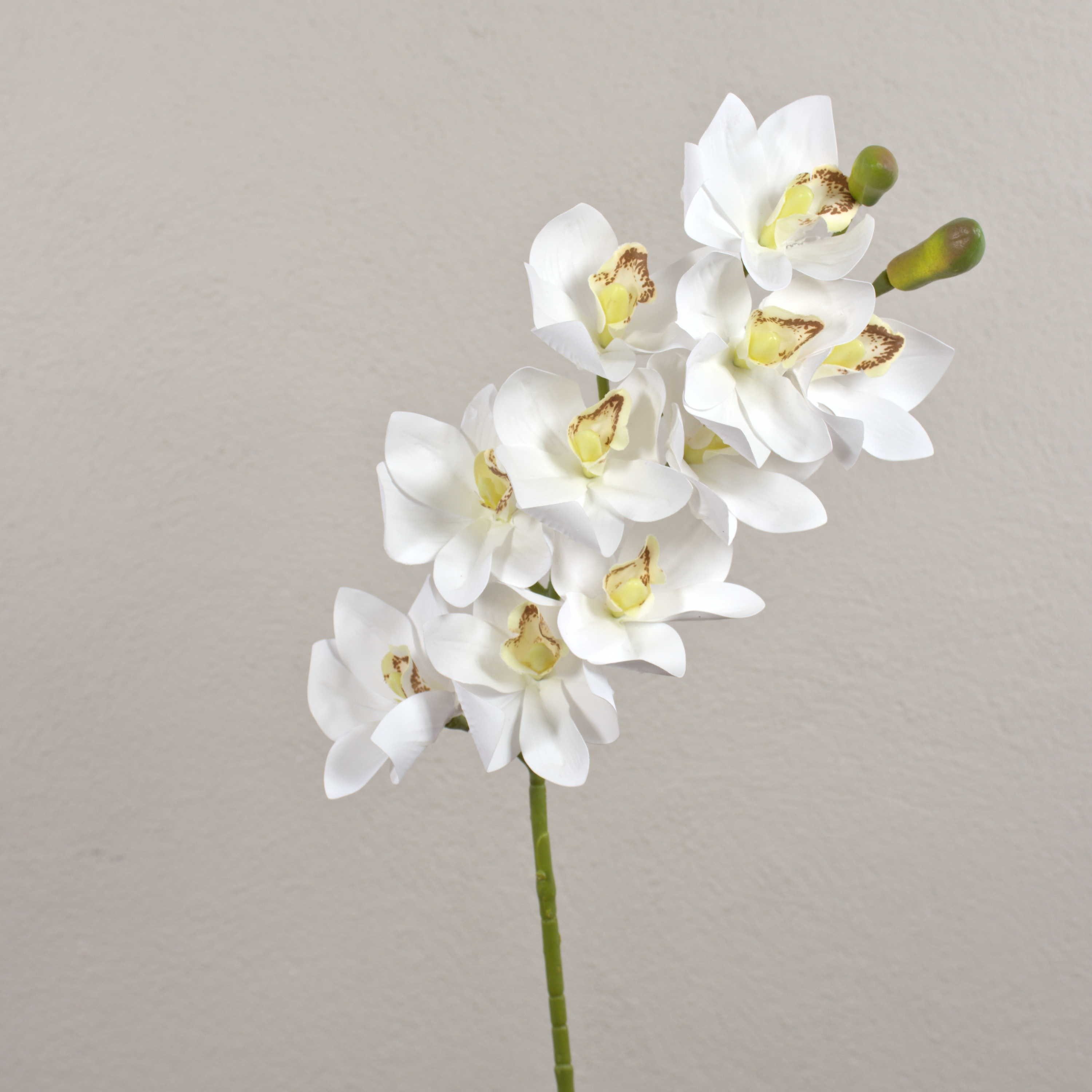 Kunstorchidee Deko Zweig Cymbidium Orchidee LANAKILA, weiß, 75cm Orchidee (Orchidee cymbidium), artplants, Höhe 70.0 cm