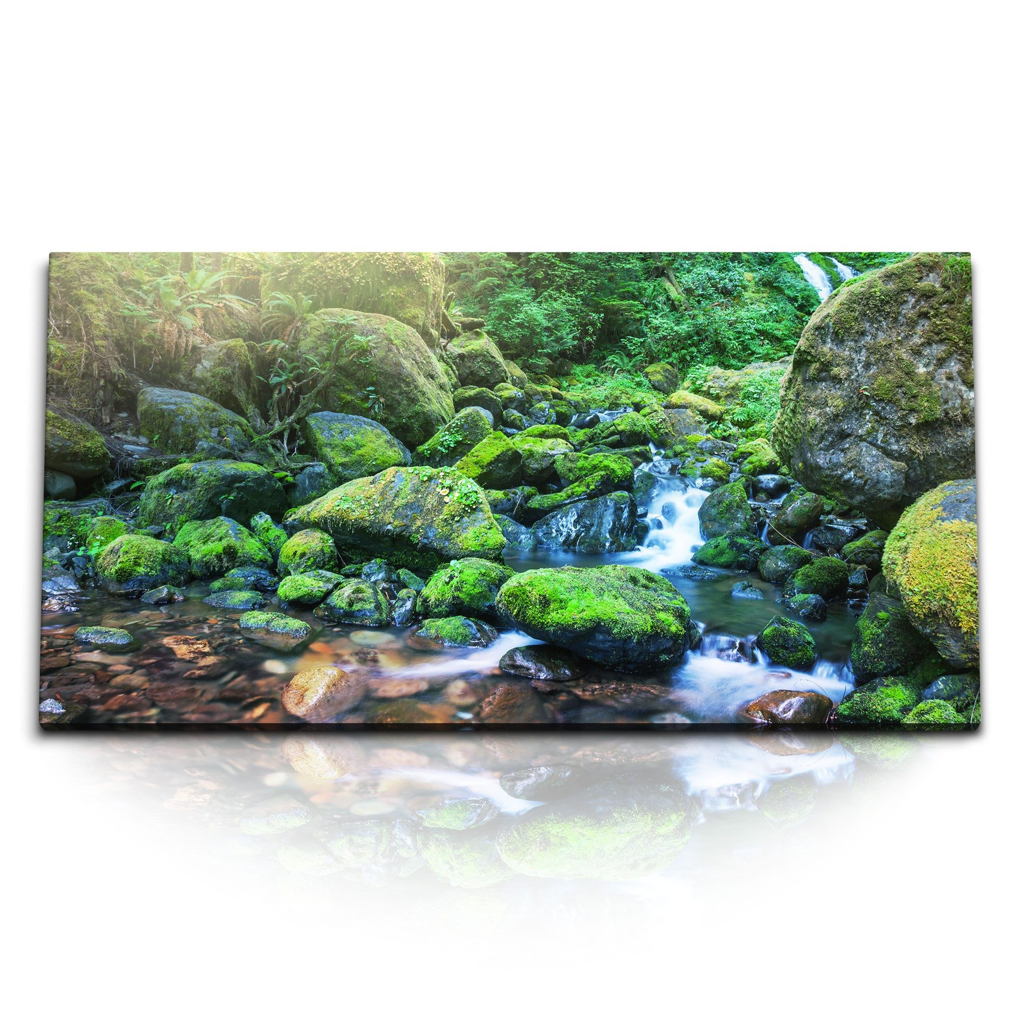 Leinwandbild Kunstdruck Bilder 120x60cm Bach Moos Dschungel Natur Grün Tropisch