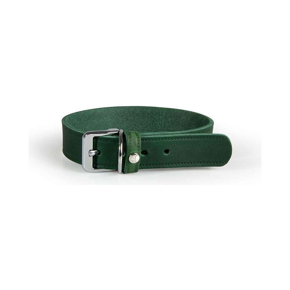 Das Lederband Hunde-Halsband Hundehalsband Weinheim Hunting Green