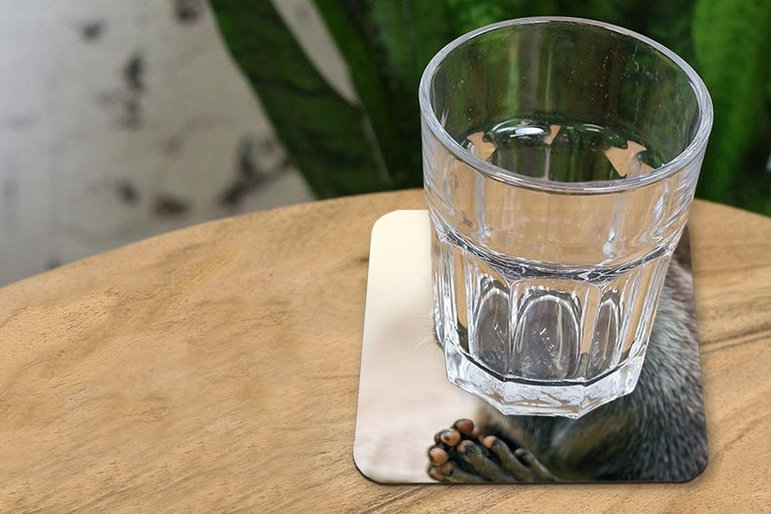 Ein Gläser, 6-tlg., zusammengelegten Zubehör Otter mit Glasuntersetzer Tasse MuchoWow Untersetzer, Glasuntersetzer, Beinen, für Korkuntersetzer, Tischuntersetzer,