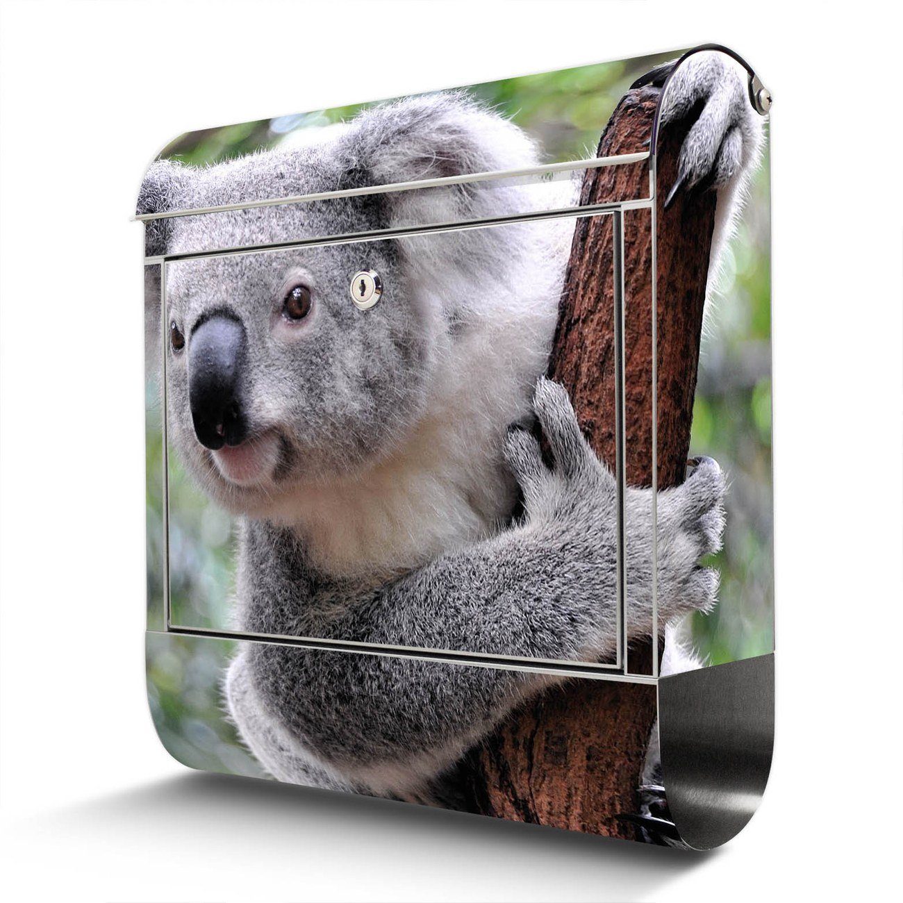 banjado Wandbriefkasten Edelstahl Koala (Wandbriefkasten groß, mit Zeitungsfach), 38 x 42,5 x12cm