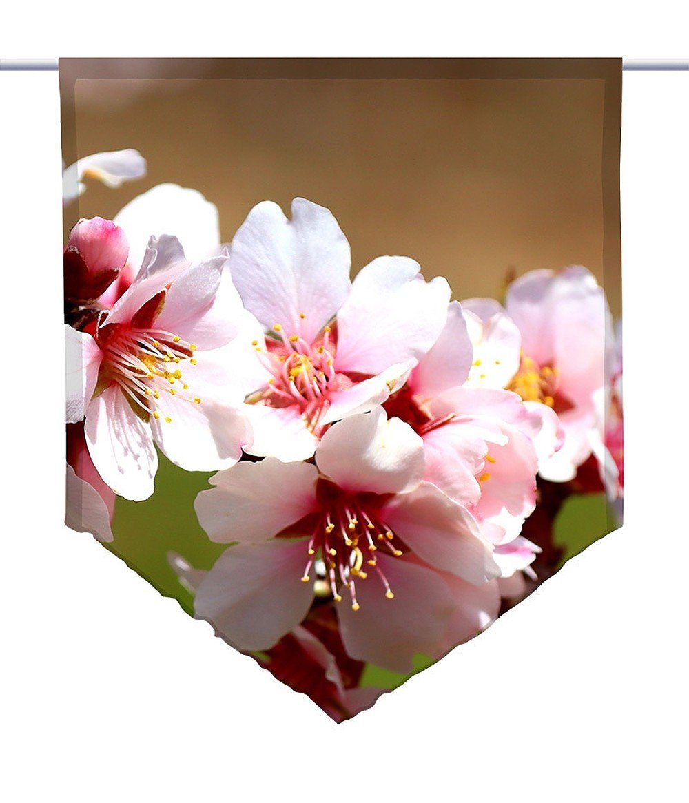 spitz Scheibenhänger Transparent, Primavera rosa, Scheibengardine gardinen-for-life Voile