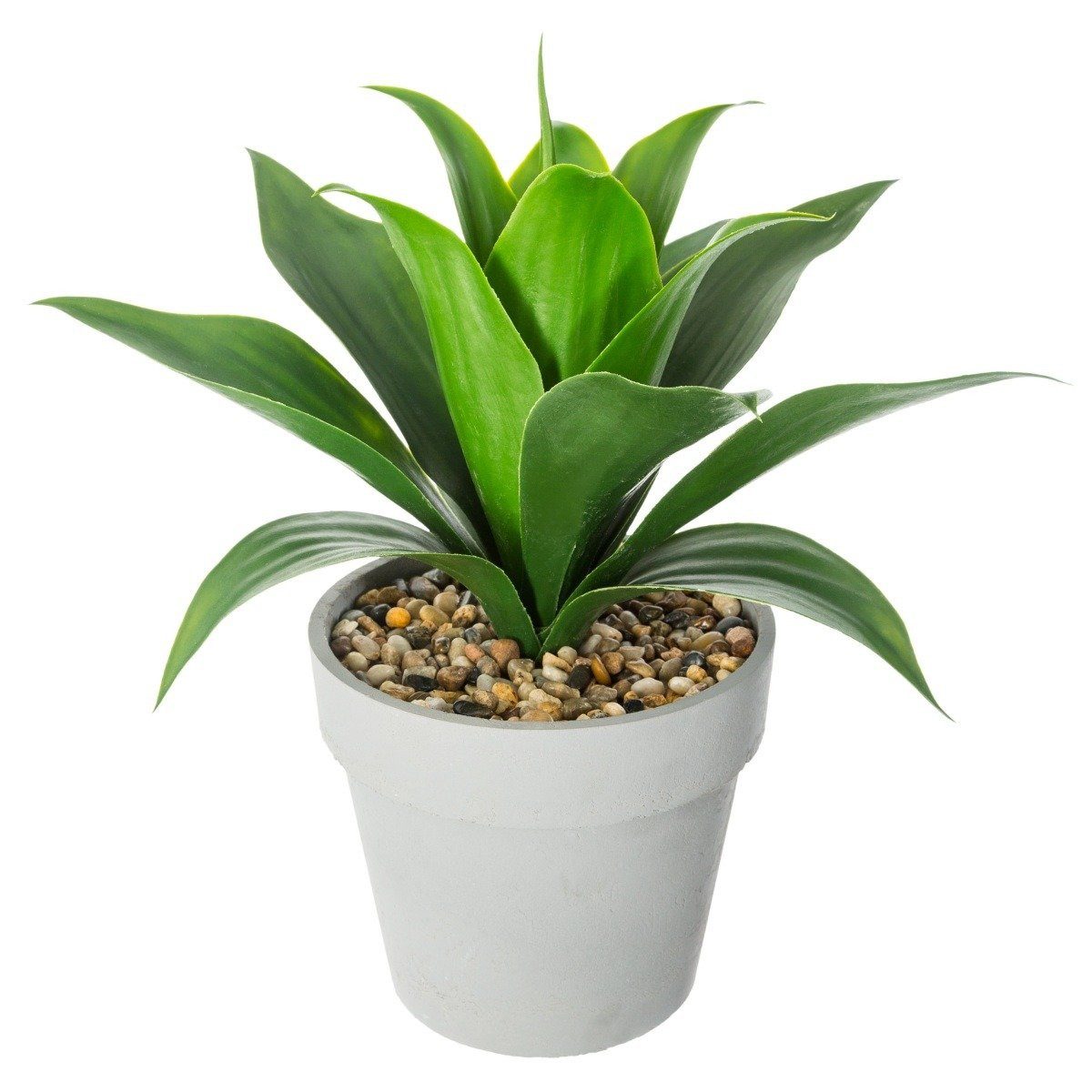 Kunstpflanze Zimmerpflanze, Atmosphera Créateur d'intérieur, Höhe 34 cm. Reduzierter Preis € 27,99. Unverbindliche Preisempfehlung € 35,99