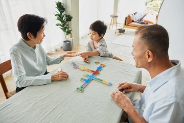 Plantoys Spiel, Domino Stimmungen