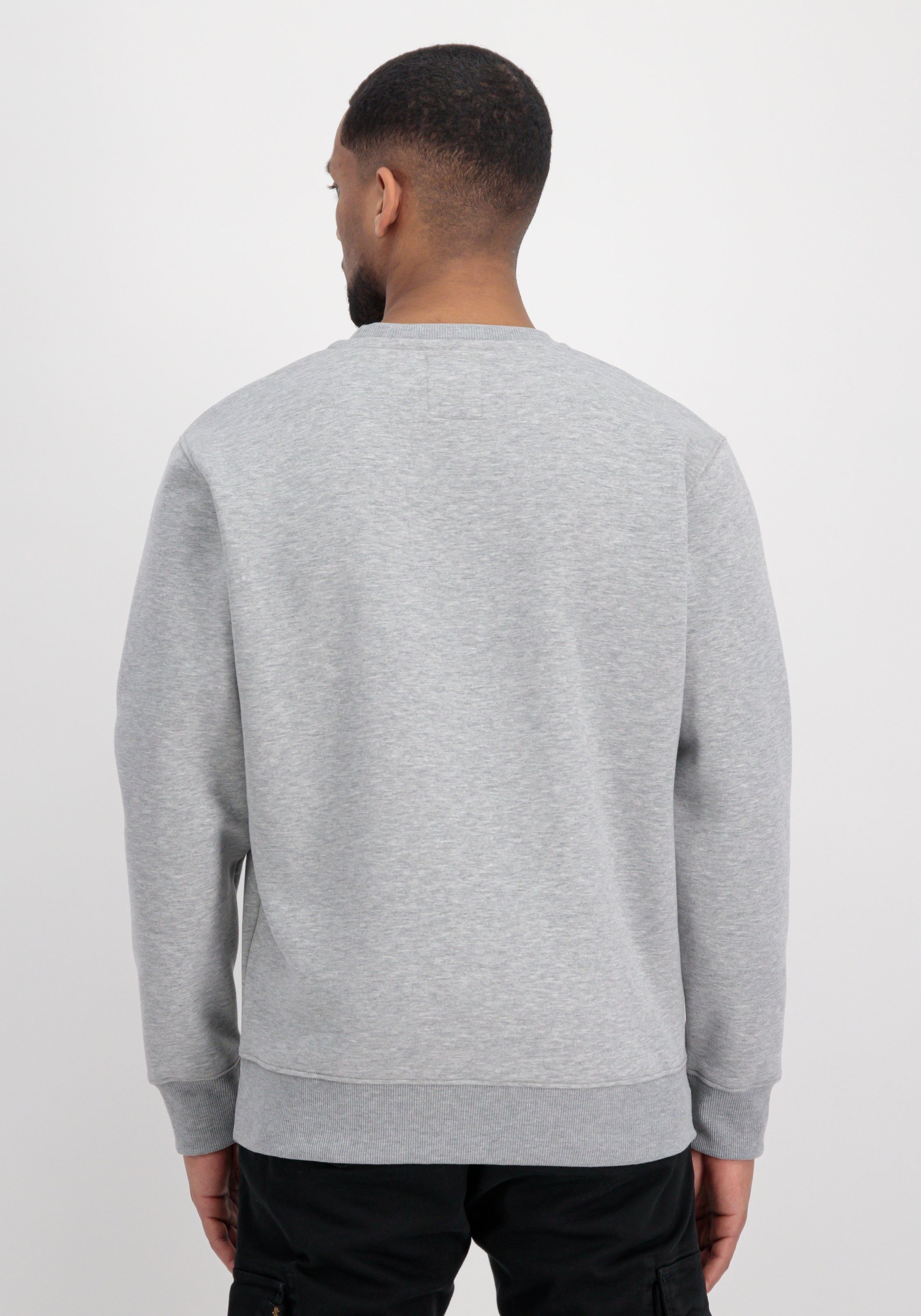Alpha Industries Sweater Basic Sweatshirt Rubber günstig online kaufen