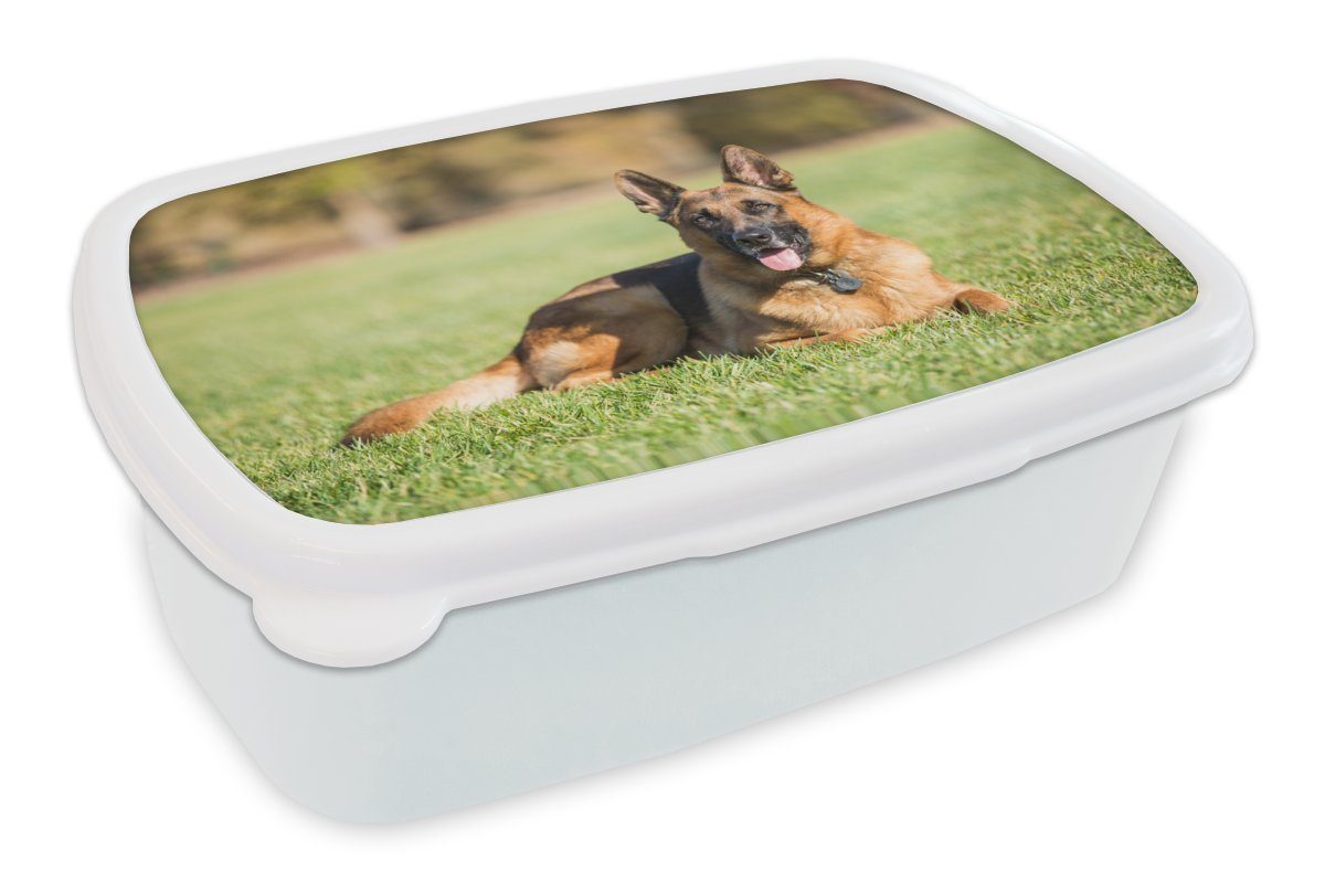 für Deutscher Brotbox Mädchen Jungs weiß für Schäferhund Erwachsene, und und im Gras (2-tlg), Kunststoff, Kinder Brotdose, MuchoWow Lunchbox liegend,