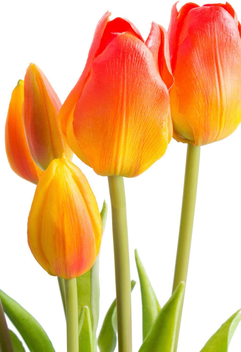 cm Tulpenbündel Tulpe, Höhe Kunstblume 47 Botanic-Haus,
