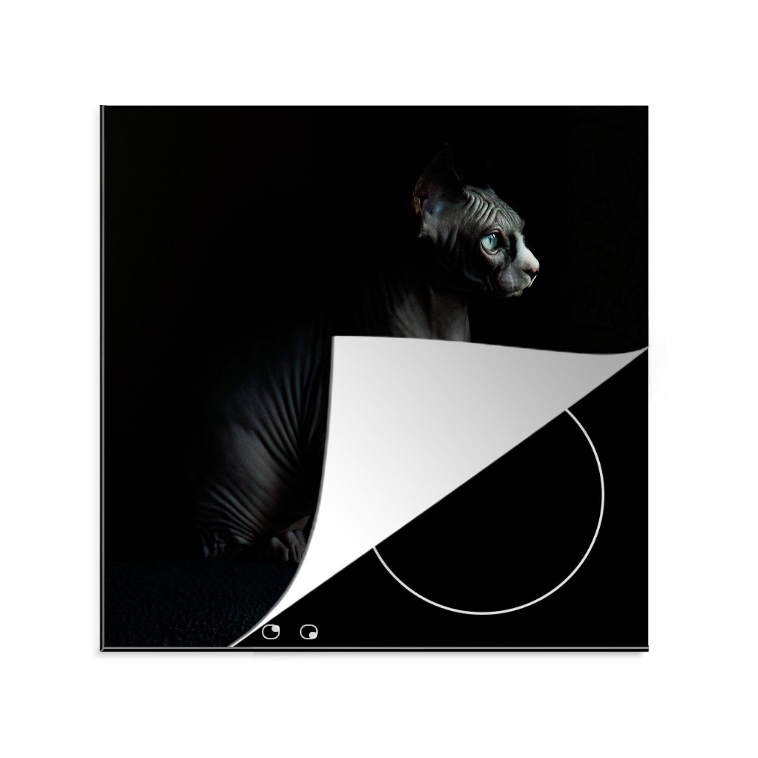 MuchoWow Herdblende-/Abdeckplatte Porträt einer schwarzen Sphynx, Vinyl, (1 tlg), 78x78 cm, Ceranfeldabdeckung, Arbeitsplatte für küche | Herdabdeckplatten
