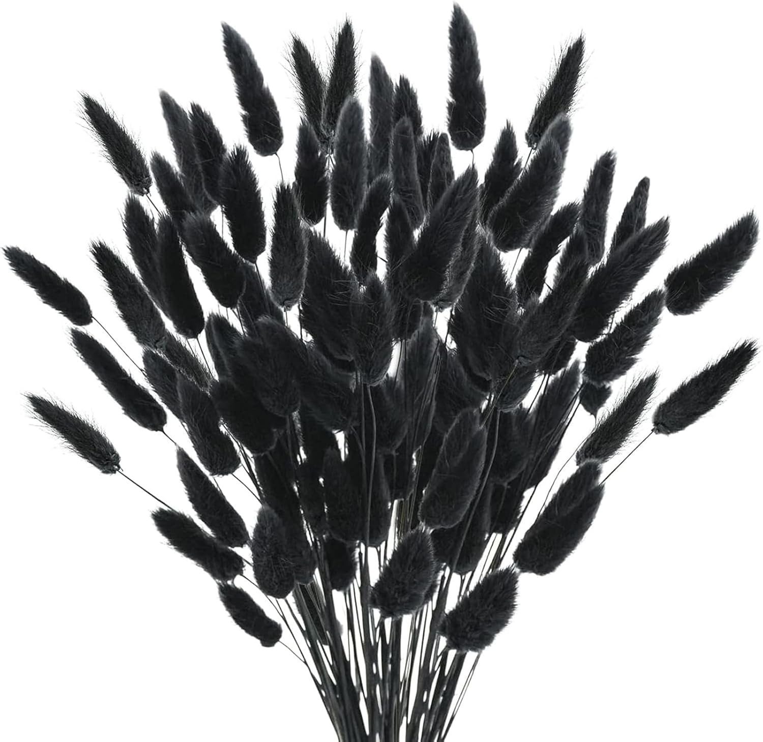 Kunstblume 120 Stück Pampasgras Klein, Hasenschwanzgras günstig online kaufen