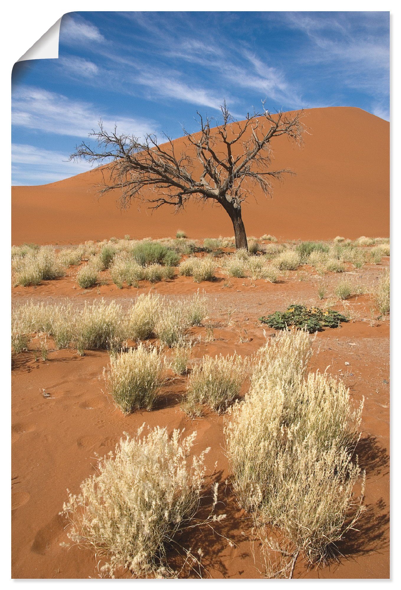 Artland Wandbild Namib-Wüste 2, Afrika (1 St), als Alubild, Leinwandbild, Wandaufkleber oder Poster in versch. Größen