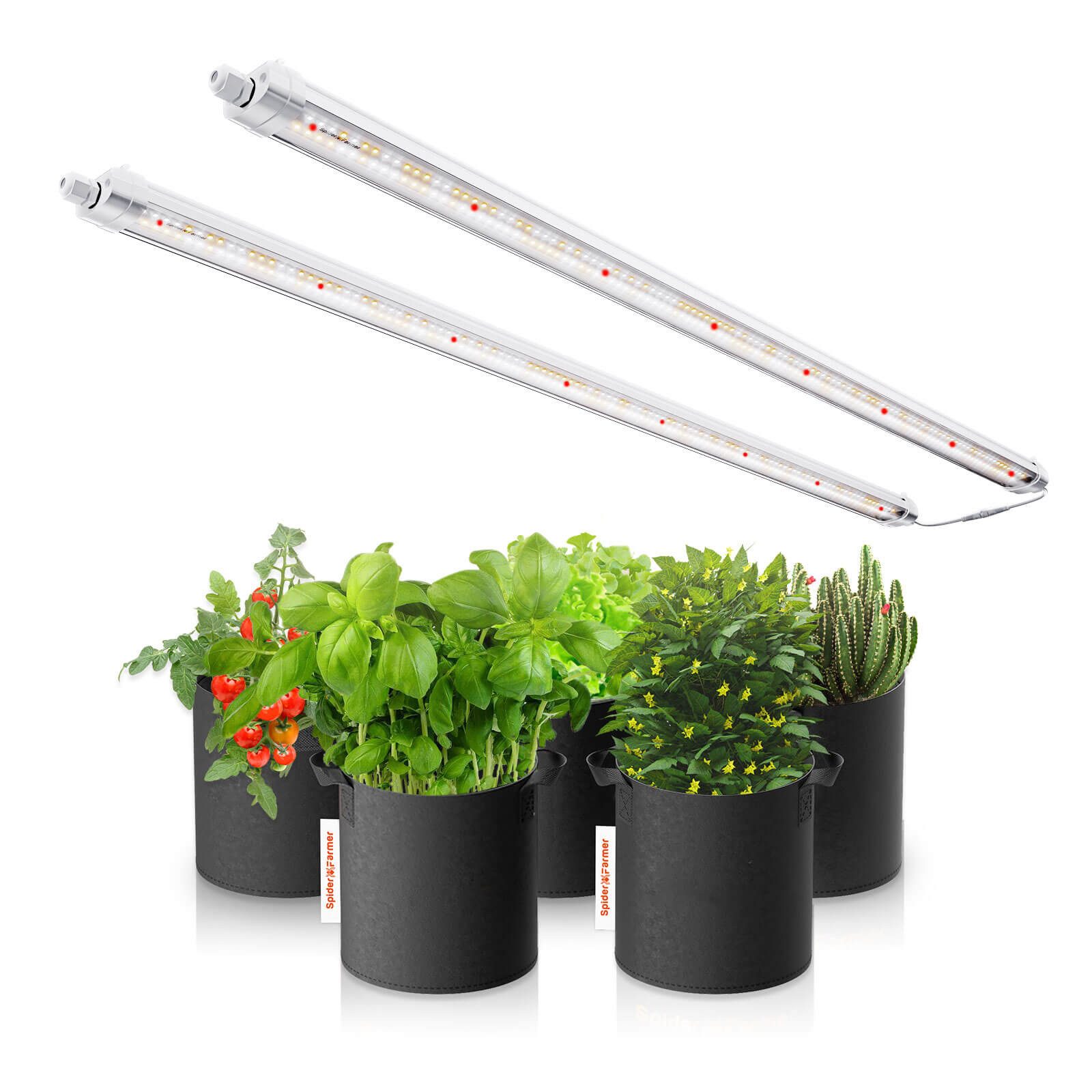 Spider Farmer Pflanzenlampe Spider Farmer LED Zusatzbeleuchtung, LED fest integriert, Glow80 80W LED Light Bars im 2er Set