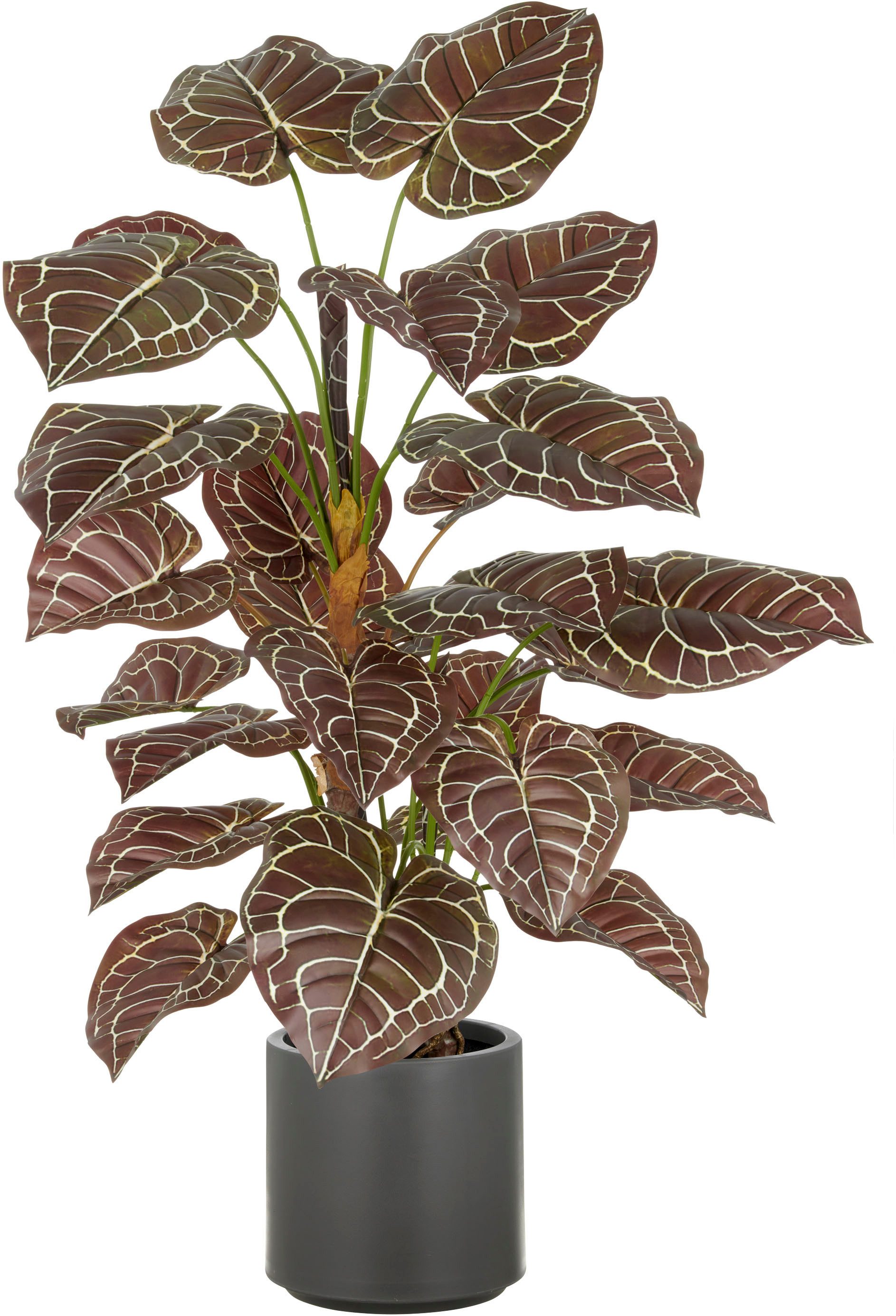 Kunstpflanze Anthurium, Creativ green, Höhe 100 cm, mit naturgetreuer Gestaltung