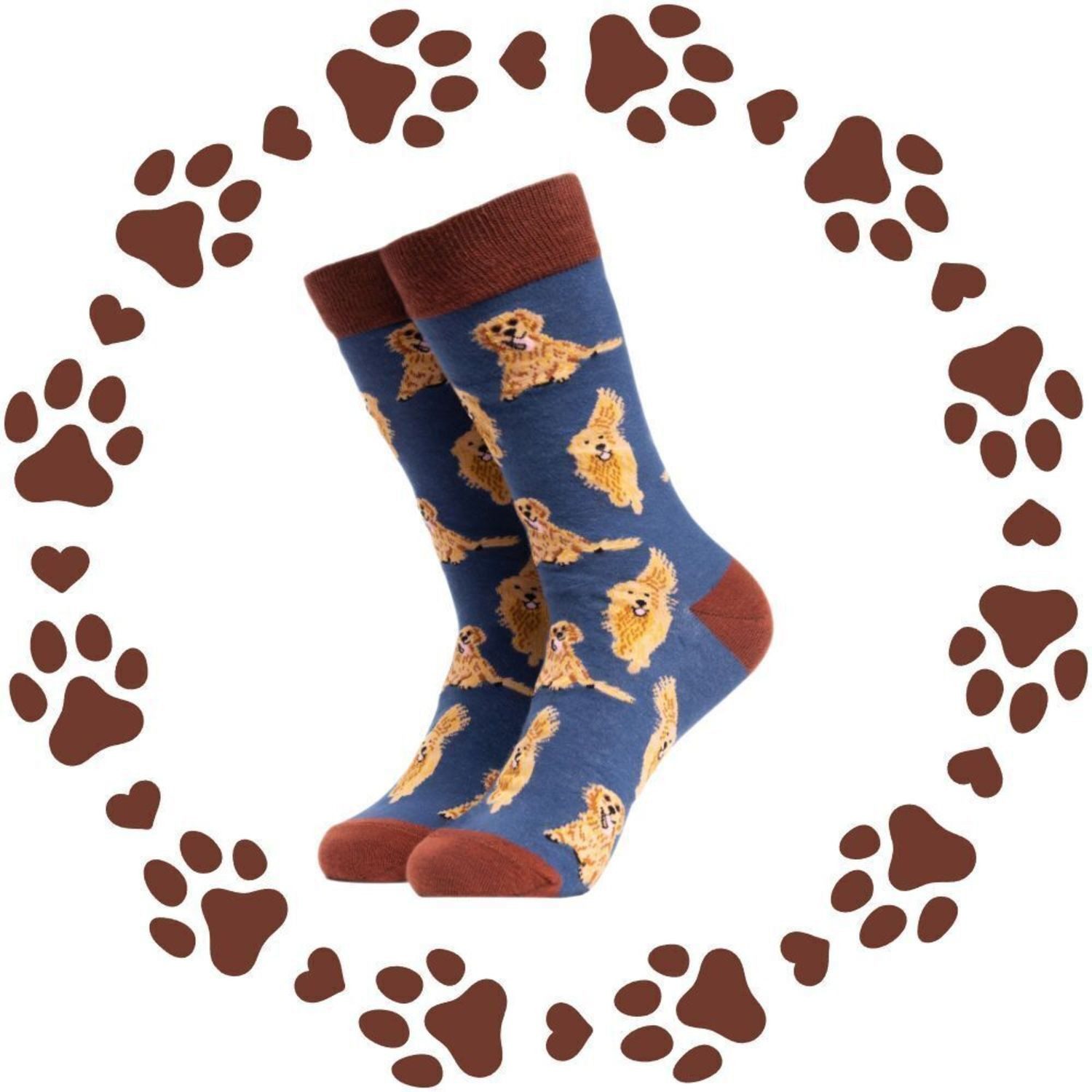 soctopus Freizeitsocken Golden Retriever Hund Soctopus Socken in 43-46 im P günstig online kaufen