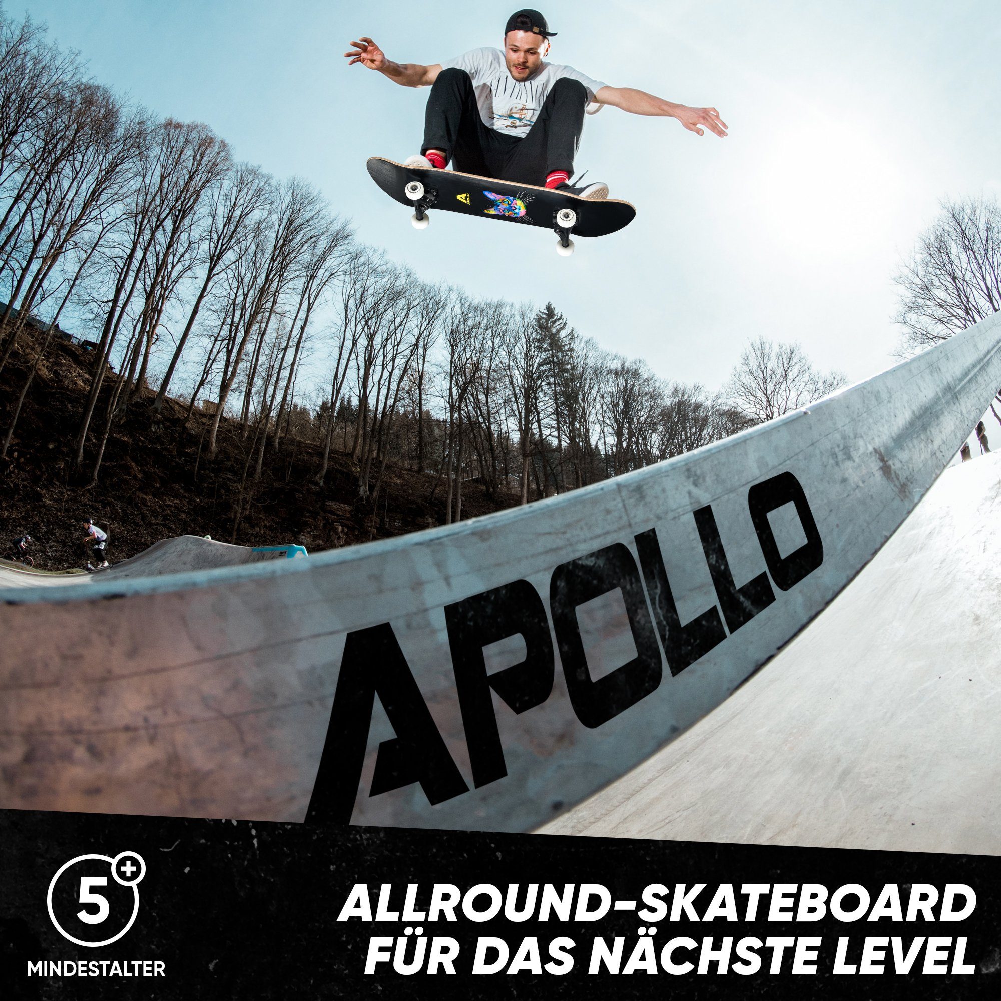 Apollo Skateboard Skateboard Kinder und Erwachsene Wood Board, Kinder Skateboard ab 6 Jahre