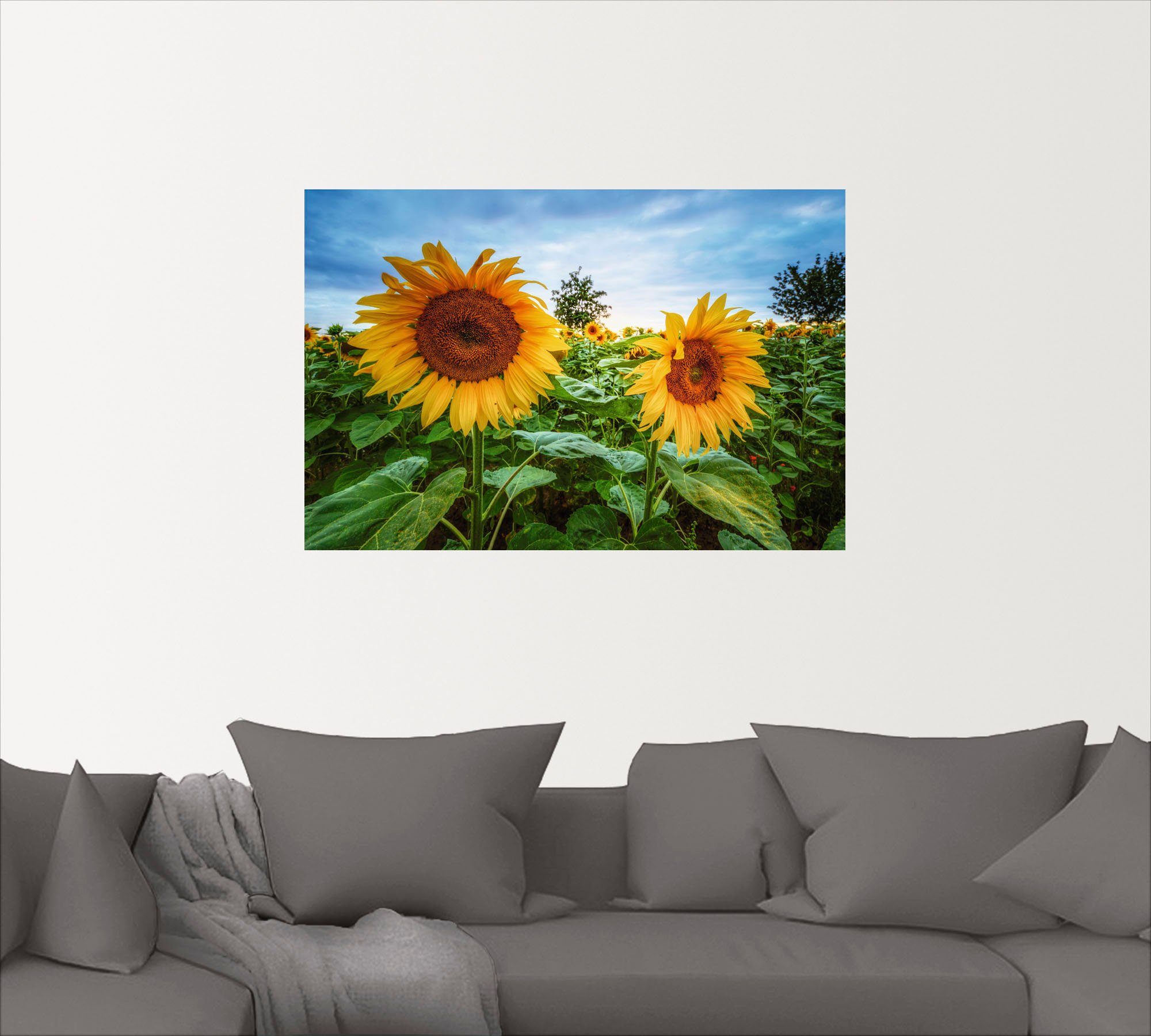 Artland Wandbild Sonnenblumen I, Größen (1 Wandaufkleber Blumen St), Poster Alubild, in Leinwandbild, versch. als oder