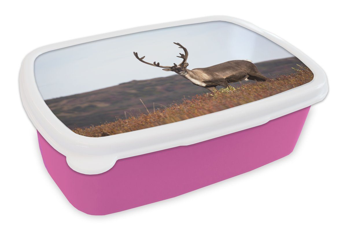 MuchoWow Lunchbox Einsame Rentiere auf einem Feld, Kunststoff, (2-tlg), Brotbox für Erwachsene, Brotdose Kinder, Snackbox, Mädchen, Kunststoff rosa