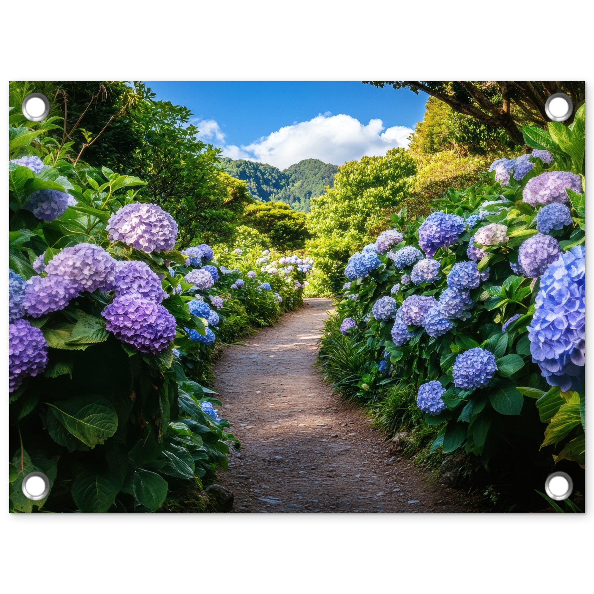 OnlyWow Poster für Garten Hortsensia - Kröte - Blumen, Gartenposter, Outdoor Bilder, Gartendekoration Bild, 40x30 cm