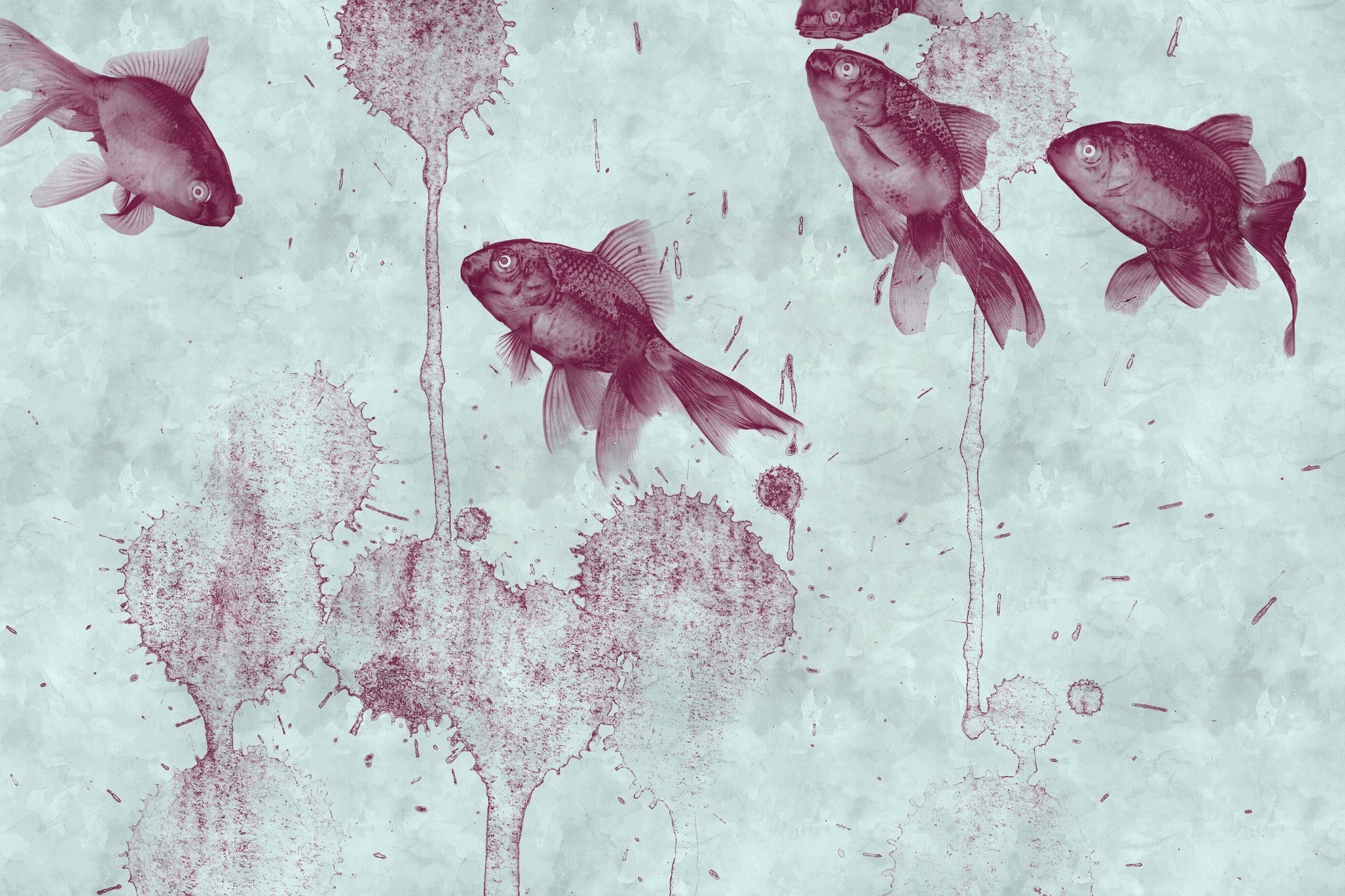 St), rot Bild Koi Fische türkis, Tiere Keilrahmen Création pond, Asiatisch (1 Leinwandbild A.S.
