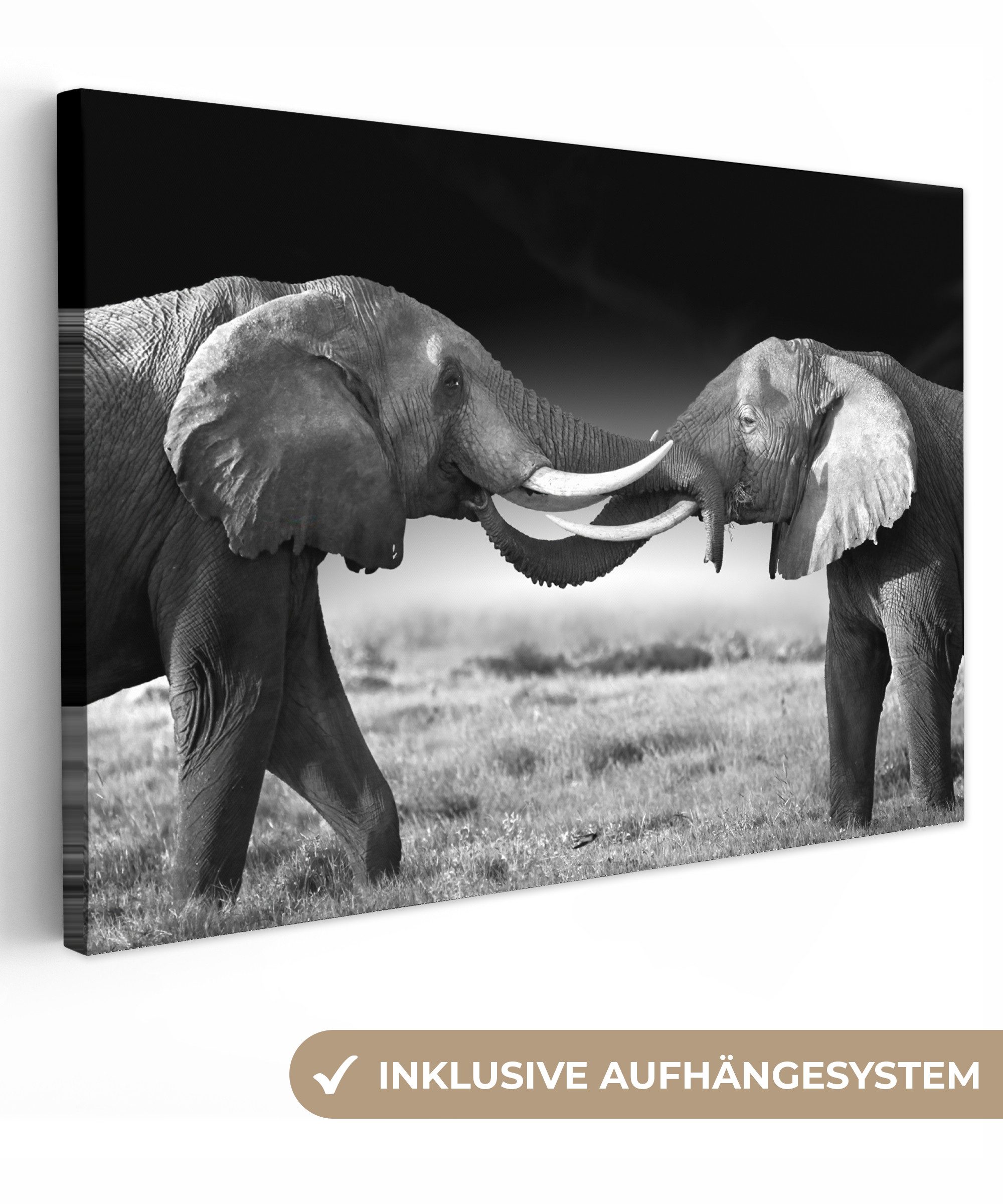 OneMillionCanvasses® Leinwandbild Elefant - Tiere - günstig online kaufen