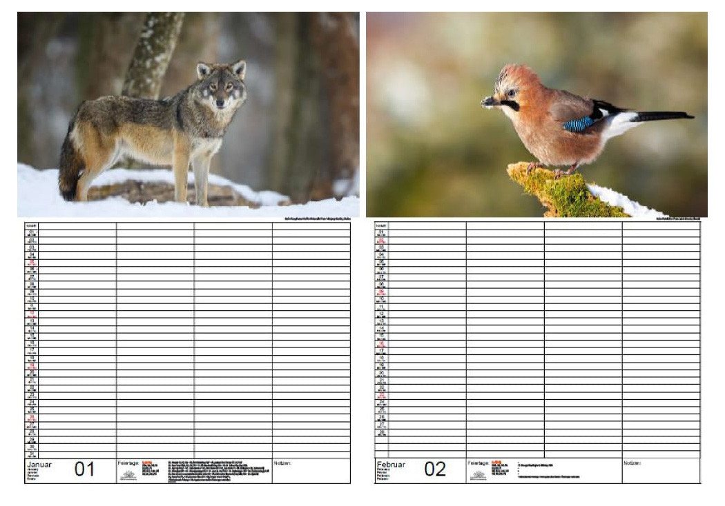 Thumbnail - Seelenzauber Familienkalender Tierzauber Waldtiere Familien Planer Kalender 2025 DIN A3 Tiere Wald