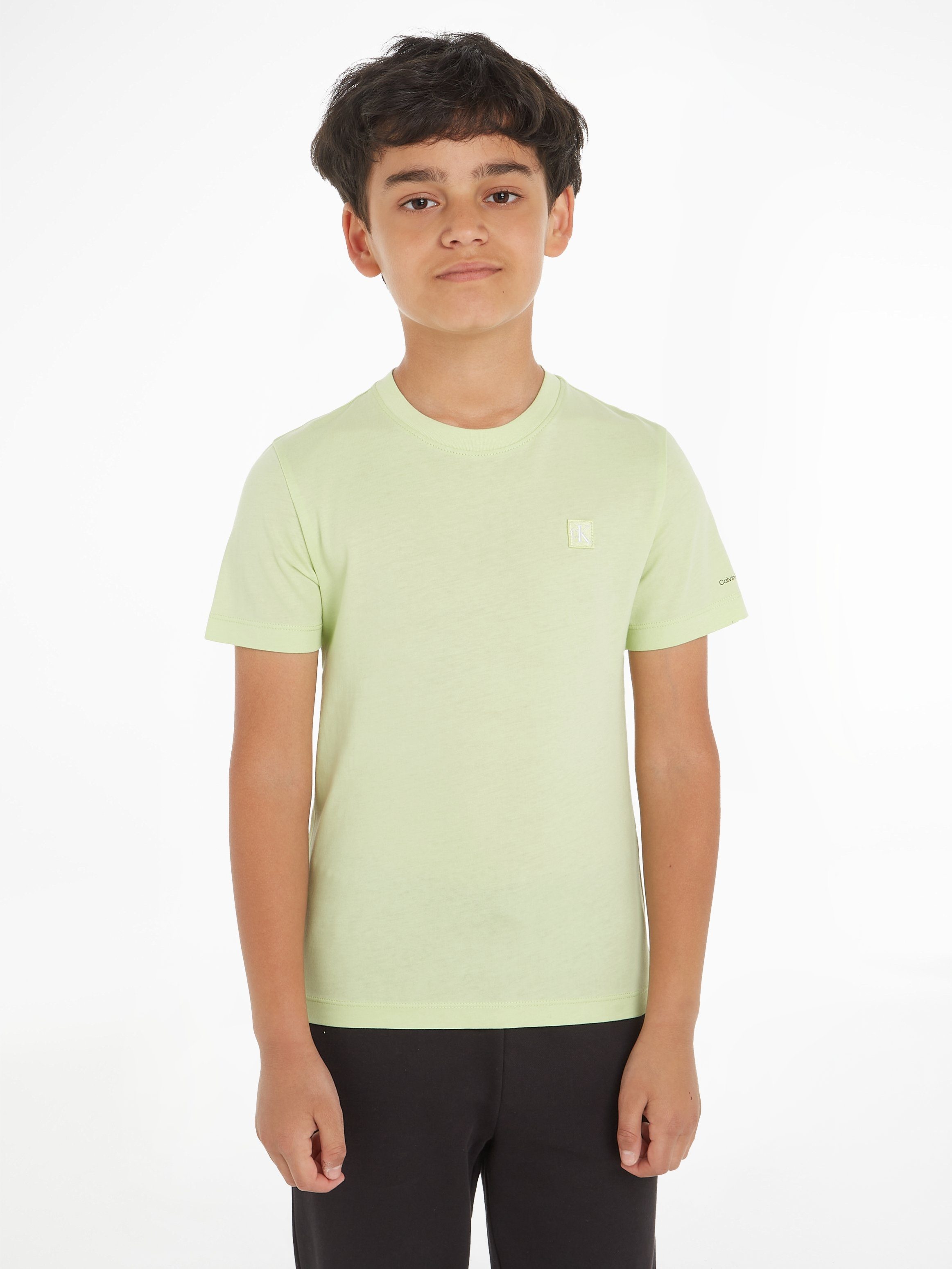 Calvin Klein Jeans T-Shirt MONOGRAM MINI BADGE T-SHIRT mit Logodruck Exotic Mint