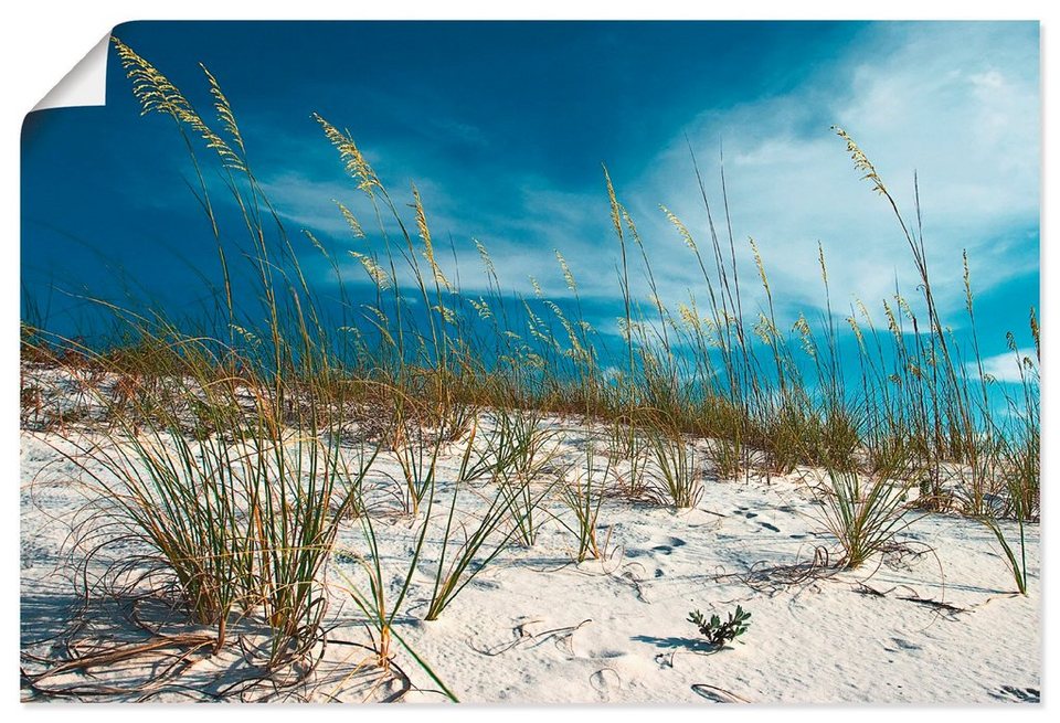 Artland Wandbild Sanddüne und Gräser, Strand (1 St), als Alubild,  Leinwandbild, Wandaufkleber oder Poster in versch. Größen