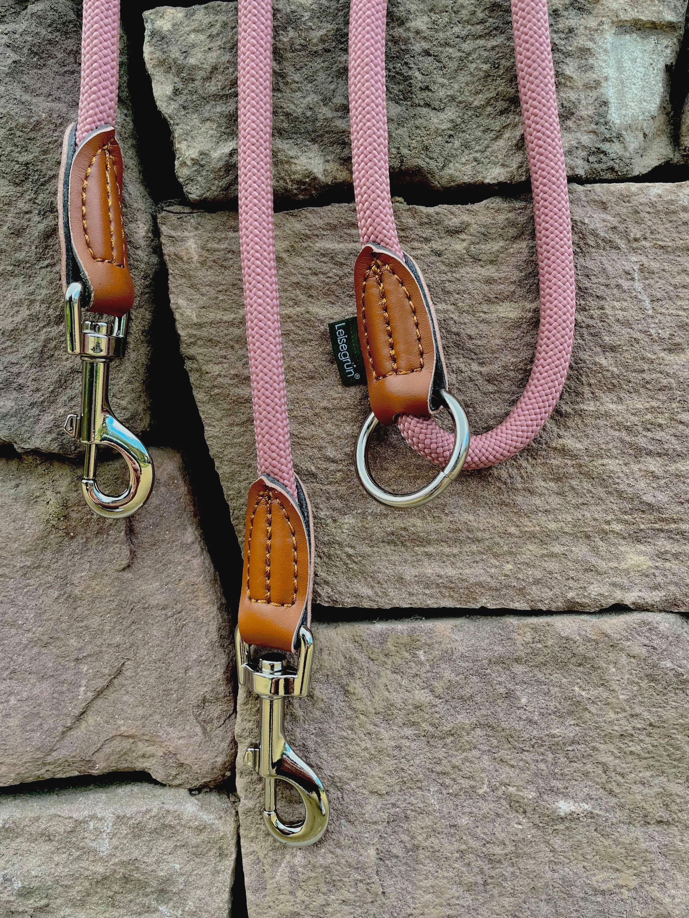 Leisegrün Hundeleine Hundeleine für kleine Hunde, 4-fach verstellbar mit 2 Karabiner, 3 m, Nylon