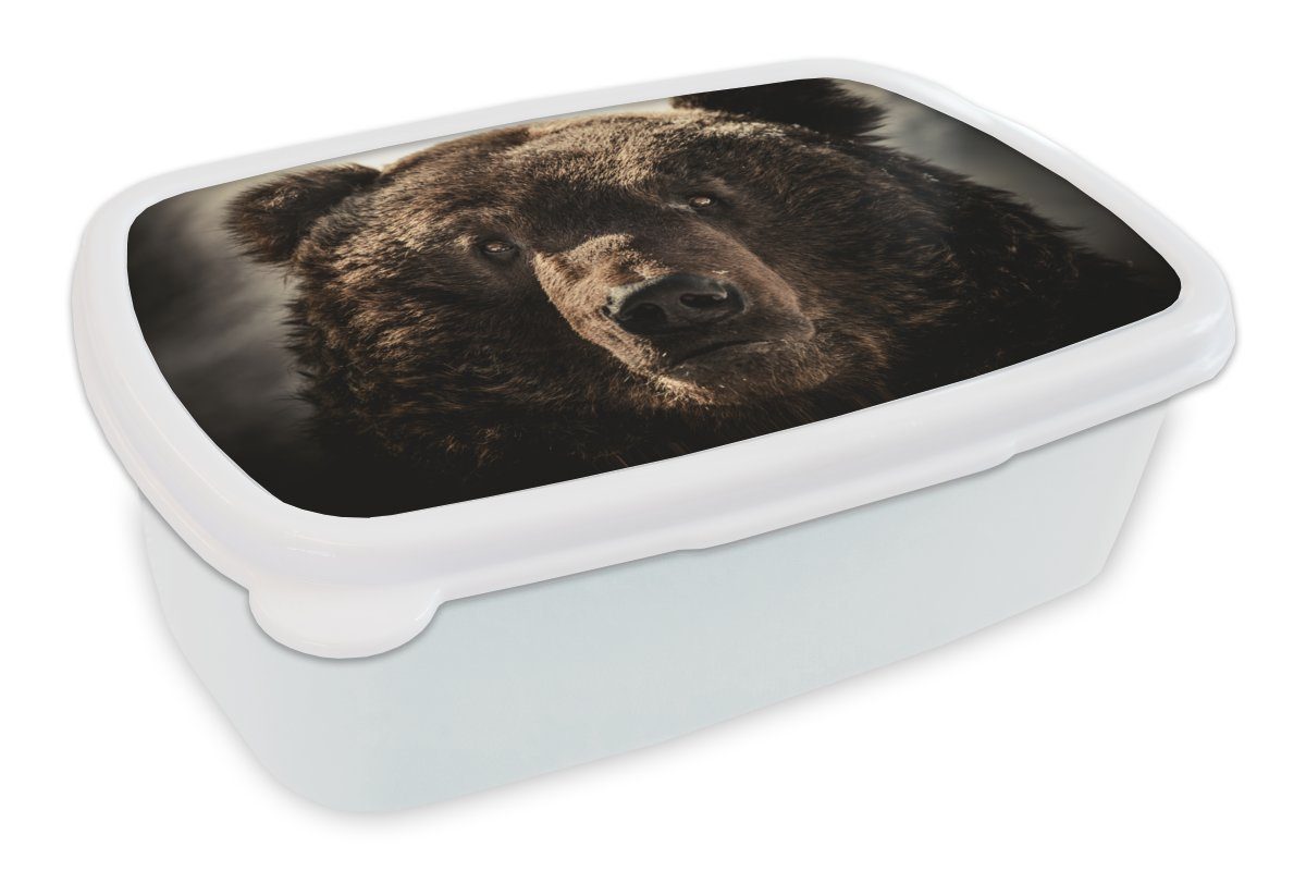 MuchoWow Lunchbox Nahaufnahme Braunbär, Kunststoff, (2-tlg), Brotbox für Kinder und Erwachsene, Brotdose, für Jungs und Mädchen weiß