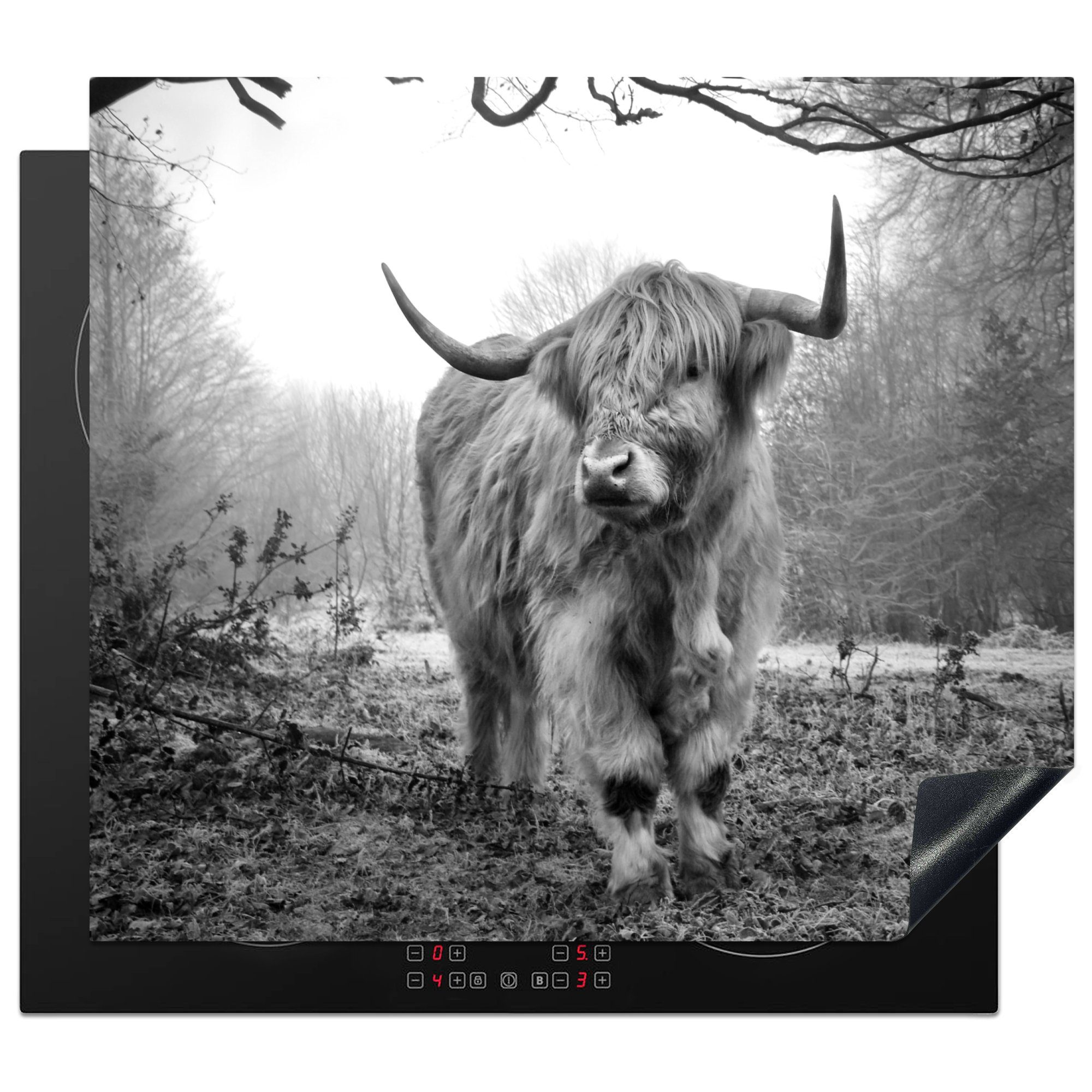 MuchoWow Herdblende-/Abdeckplatte Schottischer Highlander - Wald - Nebel - Kuh - Tiere - Natur, Vinyl, (1 tlg), 59x51 cm, Induktionsschutz, Induktionskochfeld, Ceranfeldabdeckung