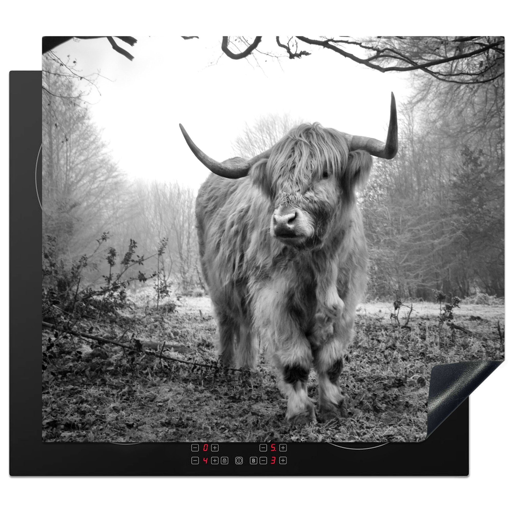 Herd-Abdeckplatte Schottischer Highlander - Wald - Nebel - Kuh - Tiere - Natur