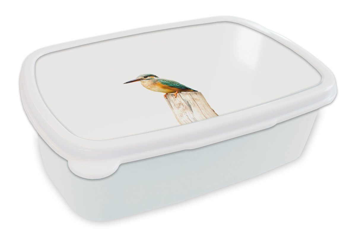 MuchoWow Brotdose, Kunststoff, Brotbox - Mädchen Eisvogel (2-tlg), Lunchbox Jungs Kinder für und Federn weiß Pfahl, für - Erwachsene, und