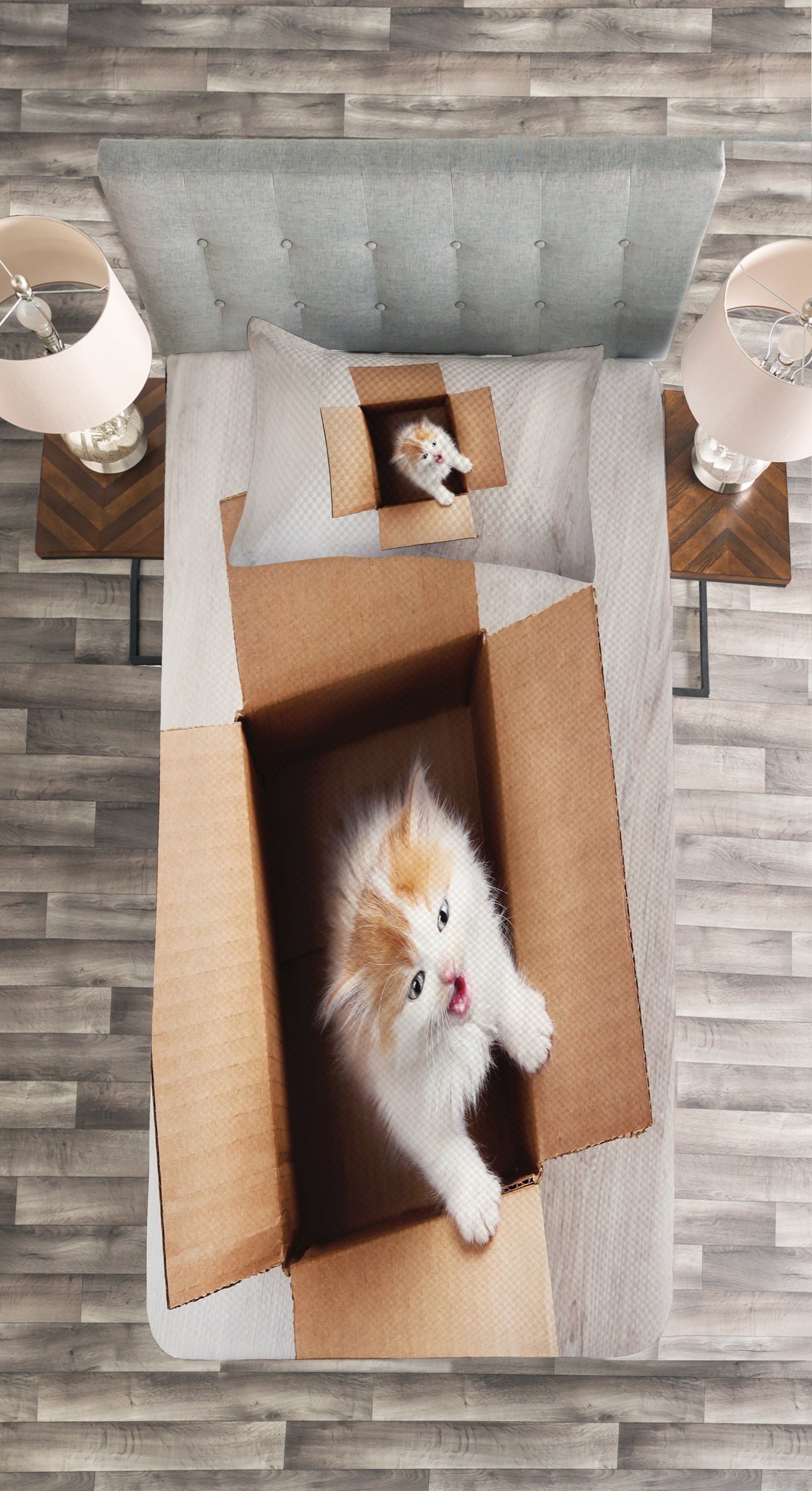 Tagesdecke Set mit Karton einem Kätzchen Waschbar, Kissenbezügen Katze Abakuhaus, in