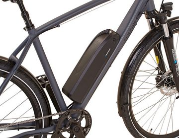 Prophete E-Bike Entdecker 20.EST.10, 8 Gang Shimano Altus Schaltwerk, Kettenschaltung, Heckmotor, 374 Wh Akku