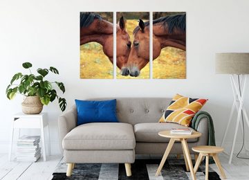 Pixxprint Leinwandbild zwei schmusende Pferde, zwei schmusende Pferde 3Teiler (120x80cm) (1 St), Leinwandbild fertig bespannt, inkl. Zackenaufhänger