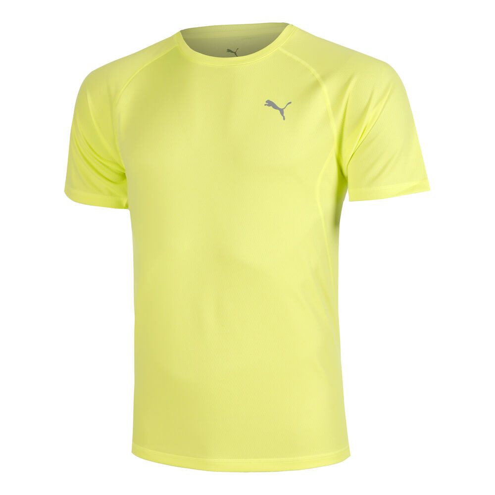 PUMA Laufshirt Velocity Tee
