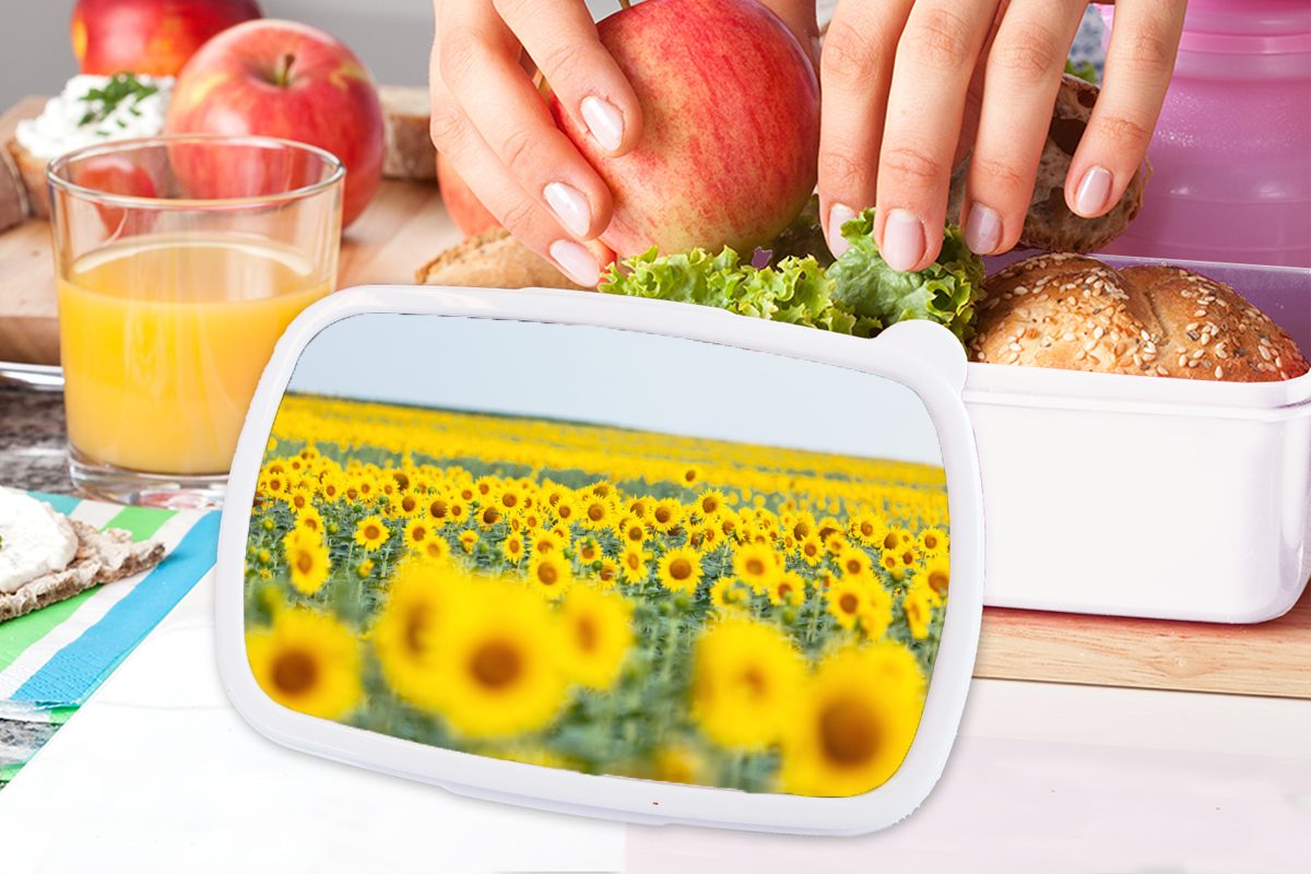 Brotdose, Jungs weiß für Brotbox Kinder MuchoWow und Mädchen Erwachsene, Sonnenblumen, Gelbes und für Feld Kunststoff, (2-tlg), voller Lunchbox