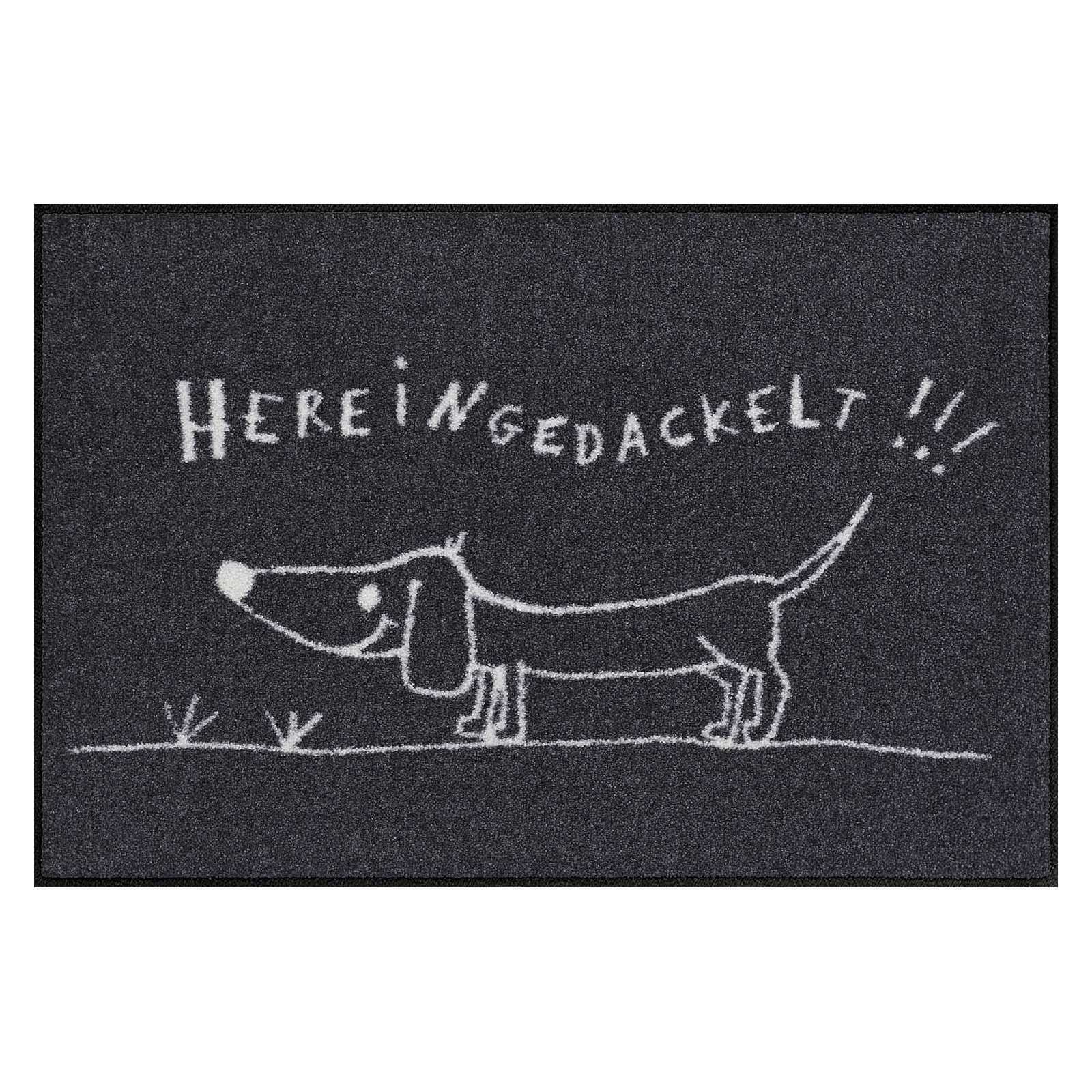 Salonloewe Fußmatte Fußmatte 50x75 Hereingedackelt grau, Eingangsmatte norm günstig online kaufen