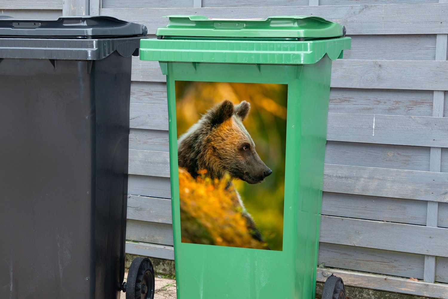 - - Mülltonne, Bär (1 MuchoWow Sticker, St), Nahaufnahme Braun Container, Wandsticker Abfalbehälter Mülleimer-aufkleber,