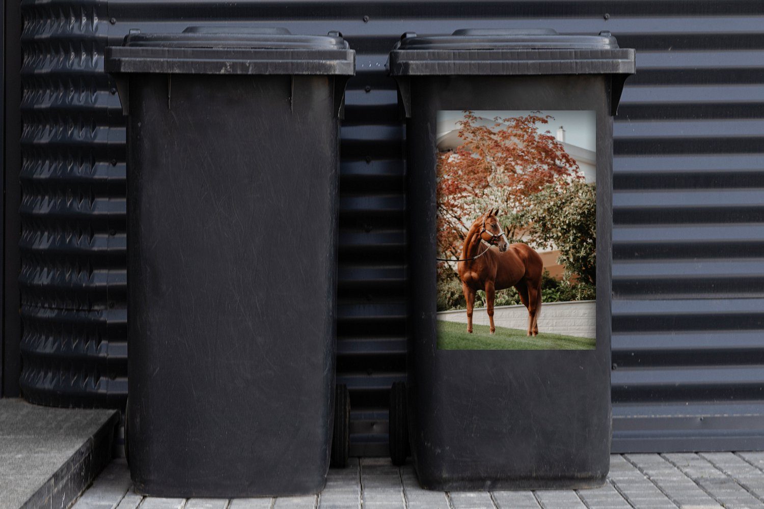 Baum Abfalbehälter Mülltonne, - (1 - Halfter MuchoWow St), Sticker, Mülleimer-aufkleber, Container, Pferd Wandsticker