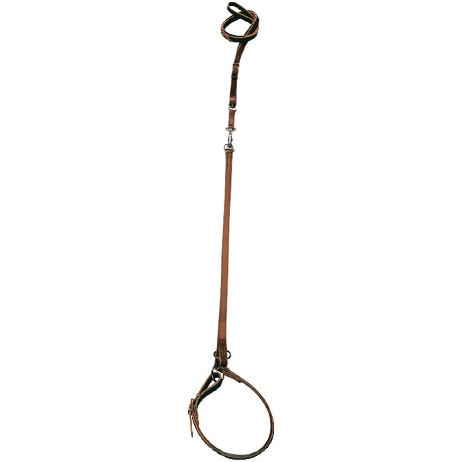 HEIM Hundeleine Umhängeleine Leder mit Halsung