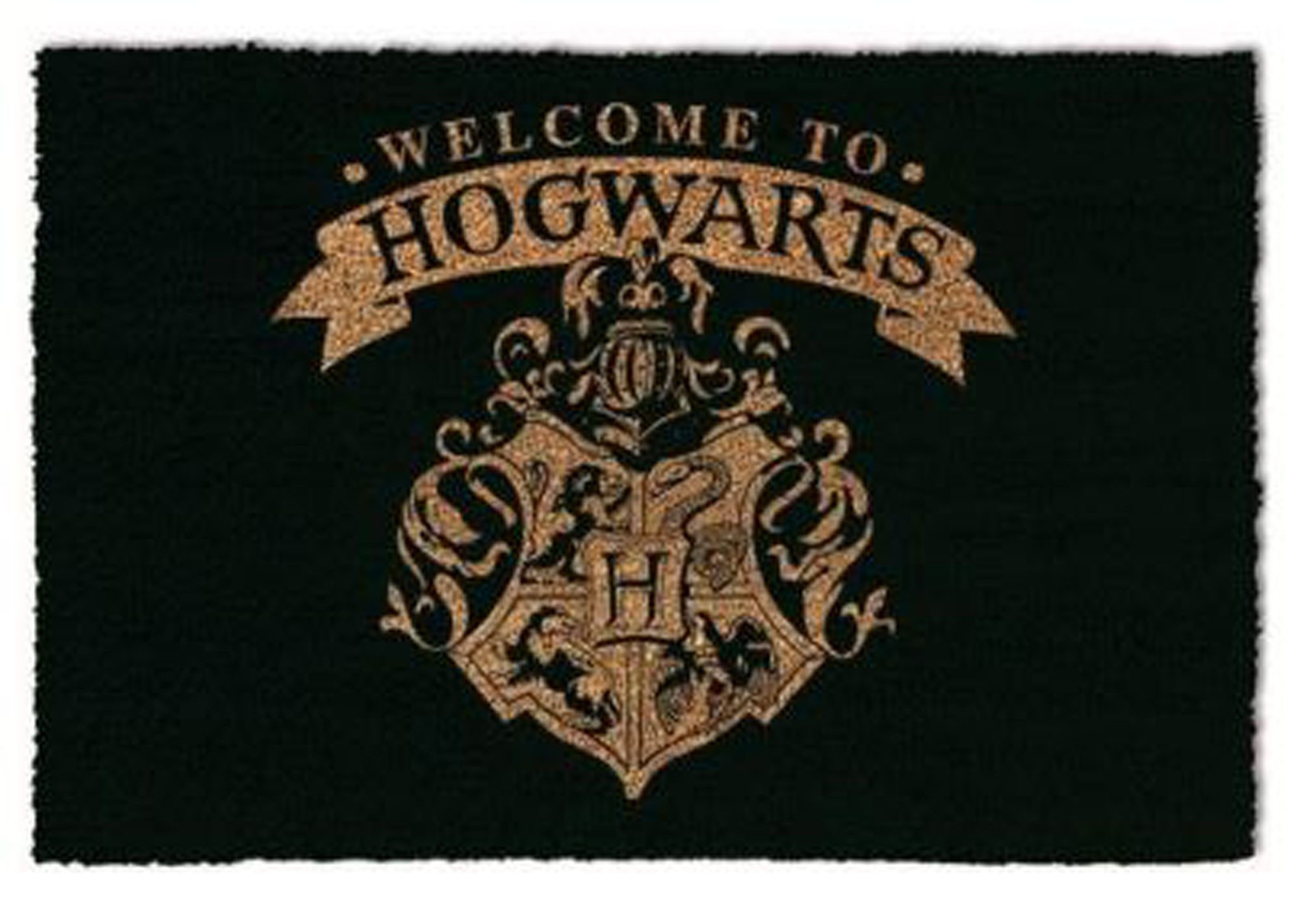 Fußmatte Fußmatte Kokos - Türmatte Kokos - Harry Potter - Welcome Hogwarts