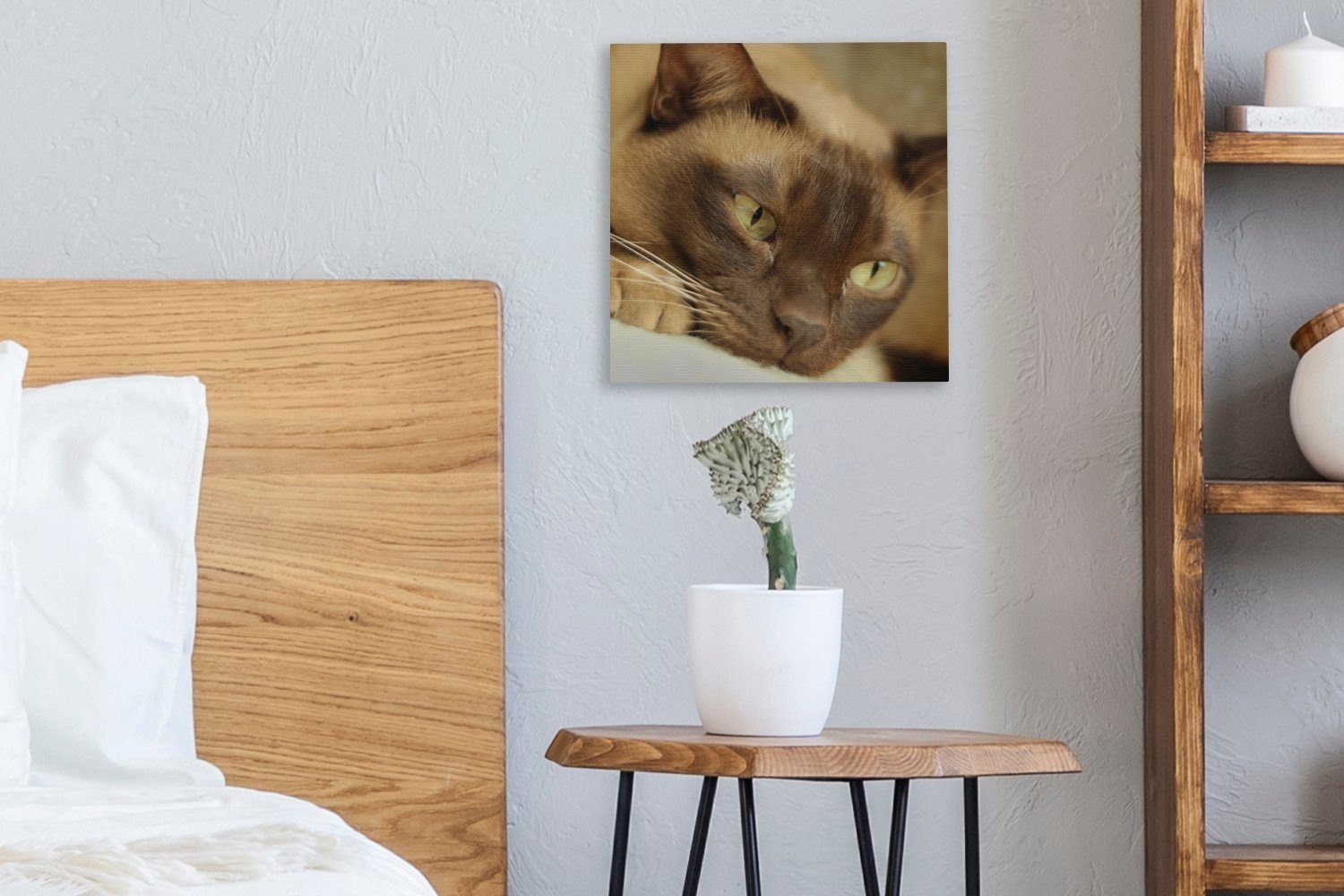 Bilder burmesische Schlafzimmer Wohnzimmer St), Braun (1 Leinwandbild gefärbte OneMillionCanvasses® Katze, für Leinwand