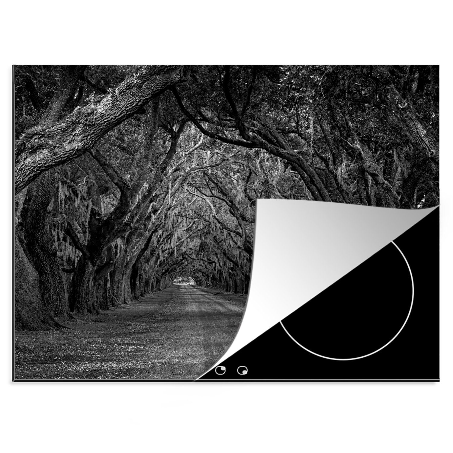 MuchoWow Herdblende-/Abdeckplatte Eichen an der Plantation Road - schwarz und weiß, Vinyl, (1 tlg), 70x52 cm, Mobile Arbeitsfläche nutzbar, Ceranfeldabdeckung