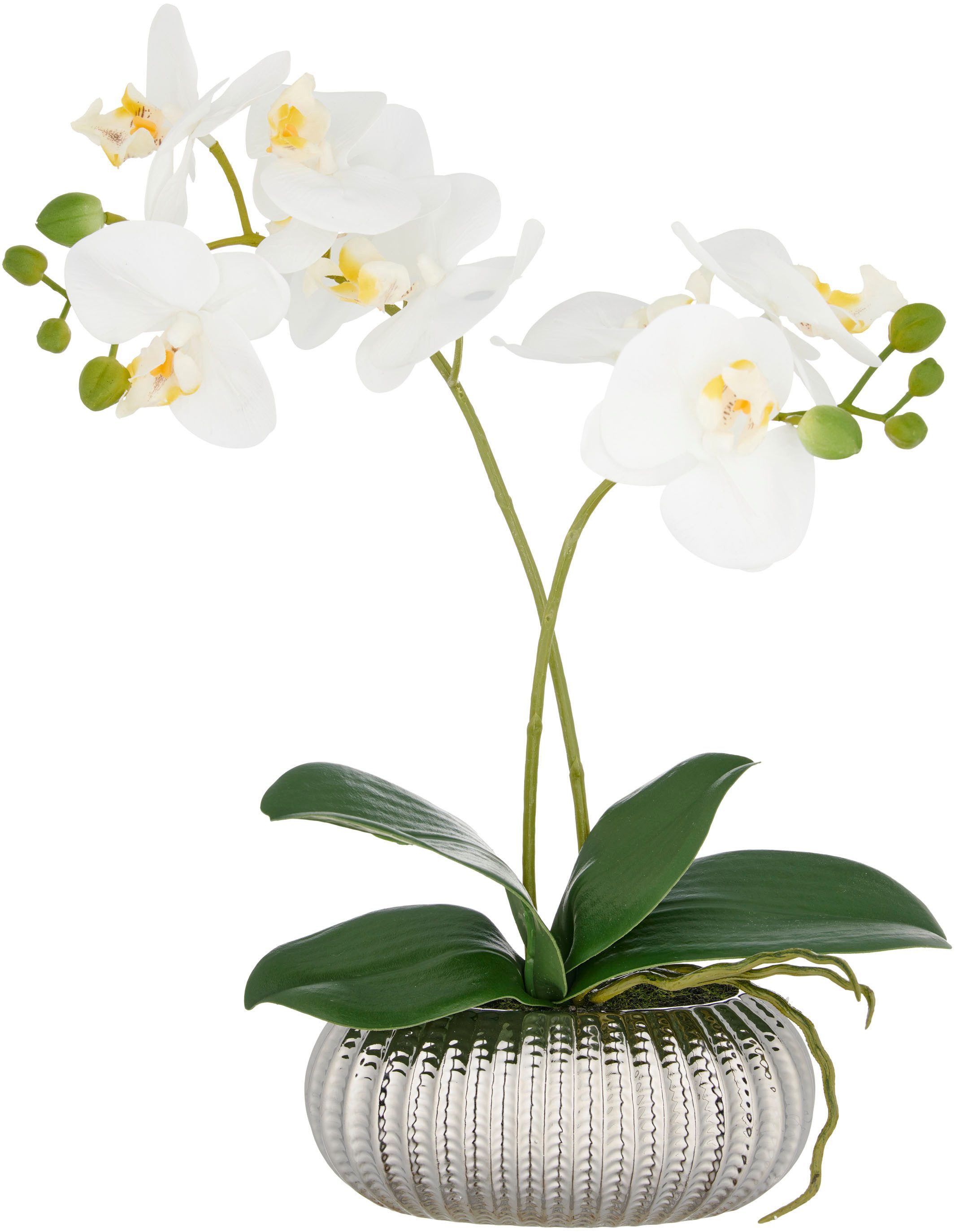 Kunstorchidee Orchidee Phalaenopsis, Creativ green, Höhe 38 cm, mit real-to günstig online kaufen