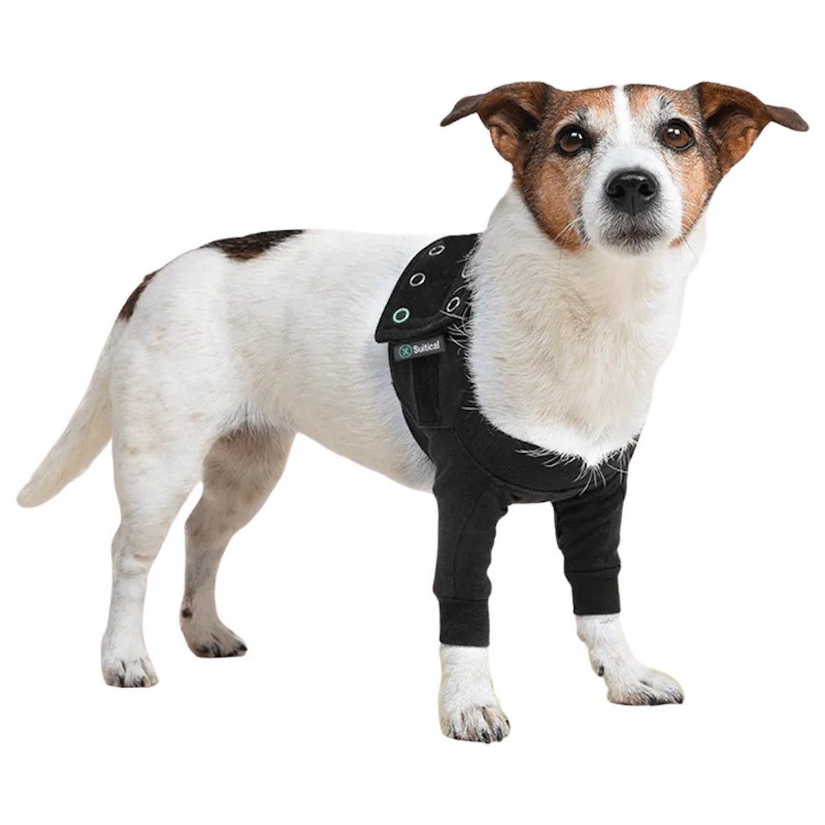 OP-Body Recovery Front Leg Double Sleeve® Dog schwarz