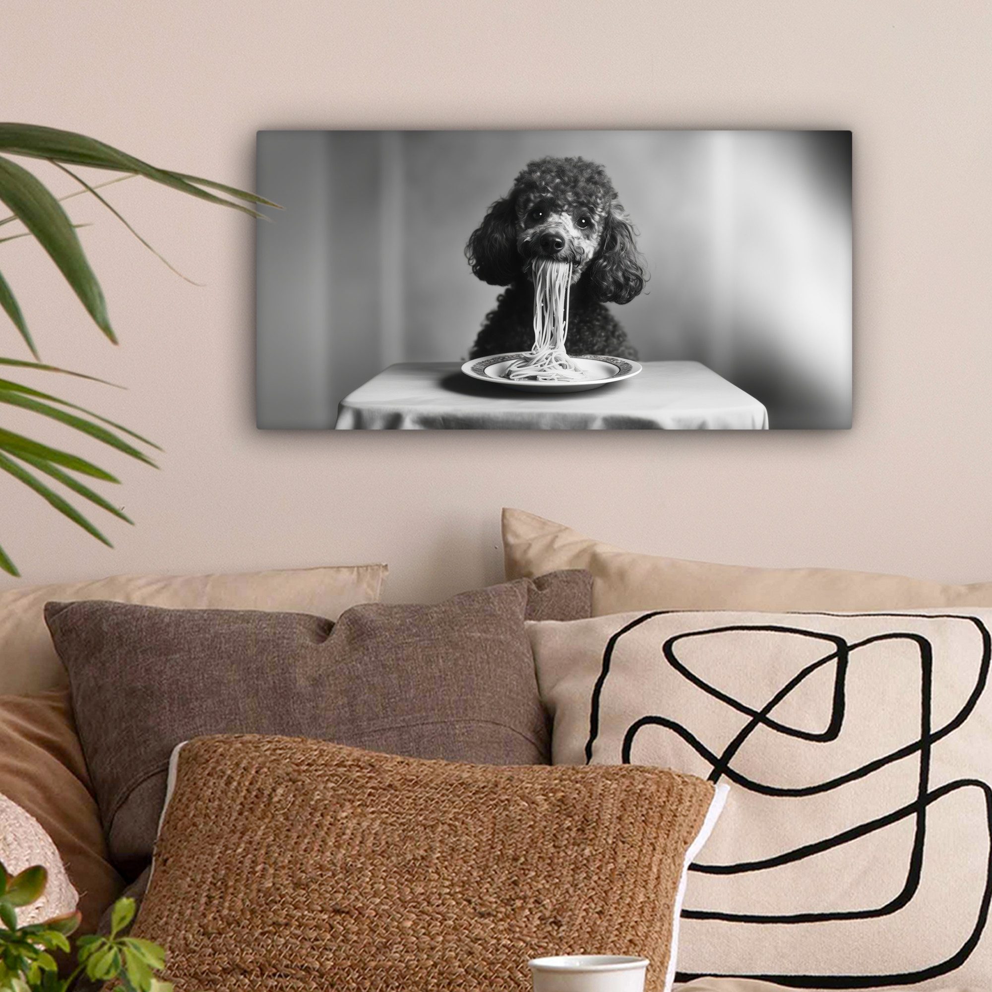 OneMillionCanvasses® Leinwandbild Panorama Pudel - Hund günstig online kaufen