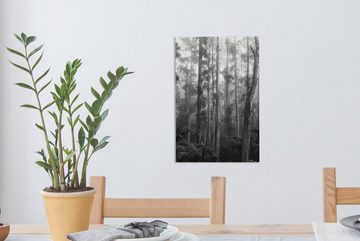OneMillionCanvasses® Leinwandbild Australien - Wald - Schwarz - Weiß, (1 St), Leinwandbild fertig bespannt inkl. Zackenaufhänger, Gemälde, 20x30 cm