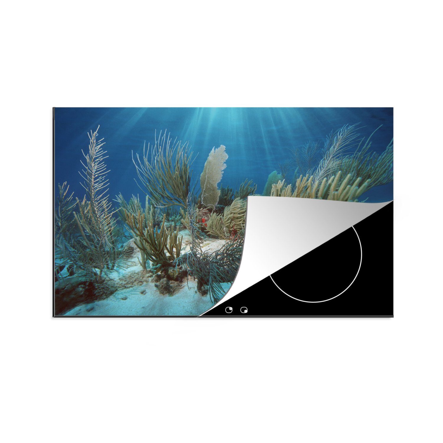 MuchoWow Herdblende-/Abdeckplatte Koralle bei Licht, Vinyl, (1 tlg), 81x52 cm, Induktionskochfeld Schutz für die küche, Ceranfeldabdeckung