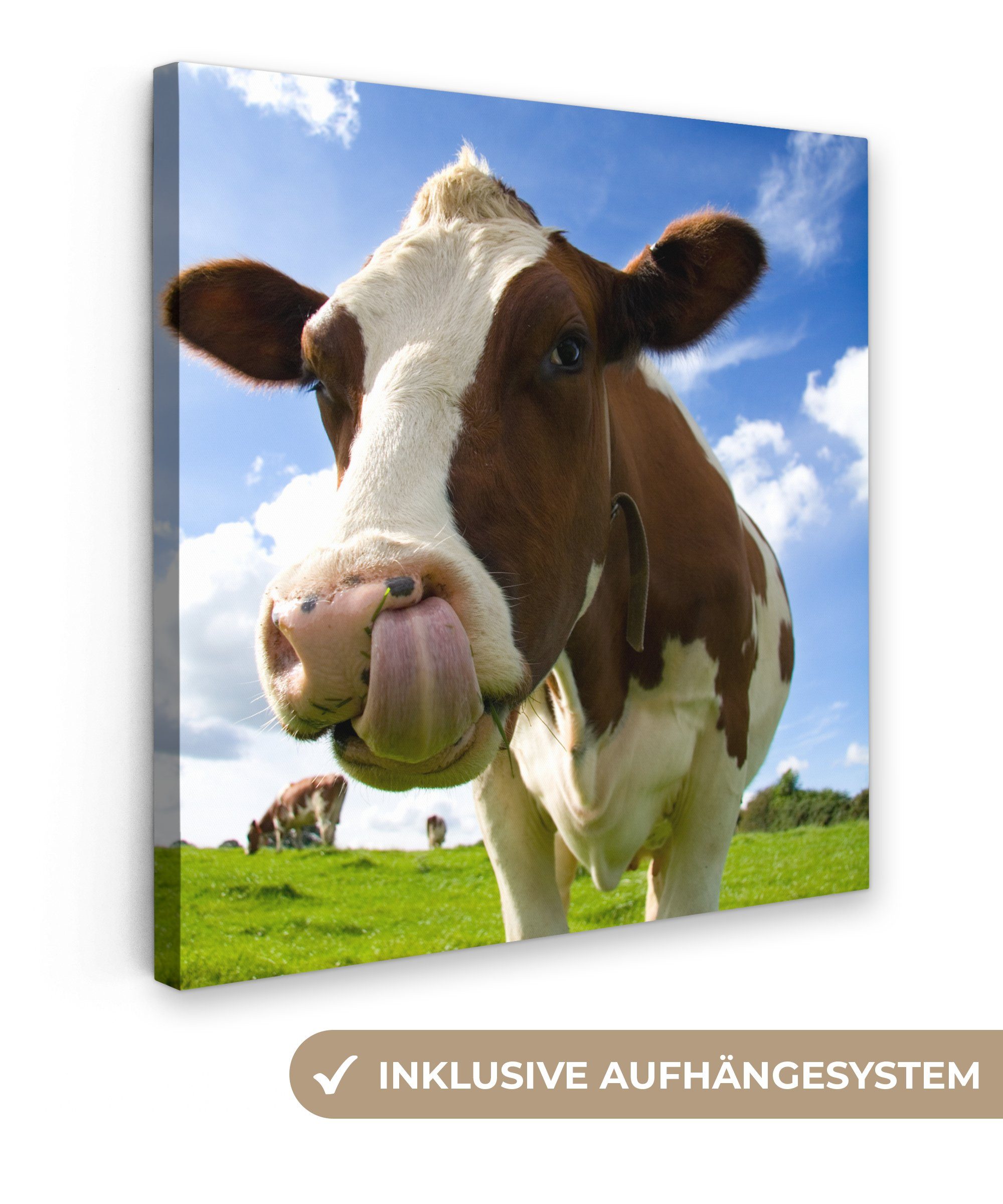 OneMillionCanvasses® Leinwandbild Kuh - Bauernhof - günstig online kaufen